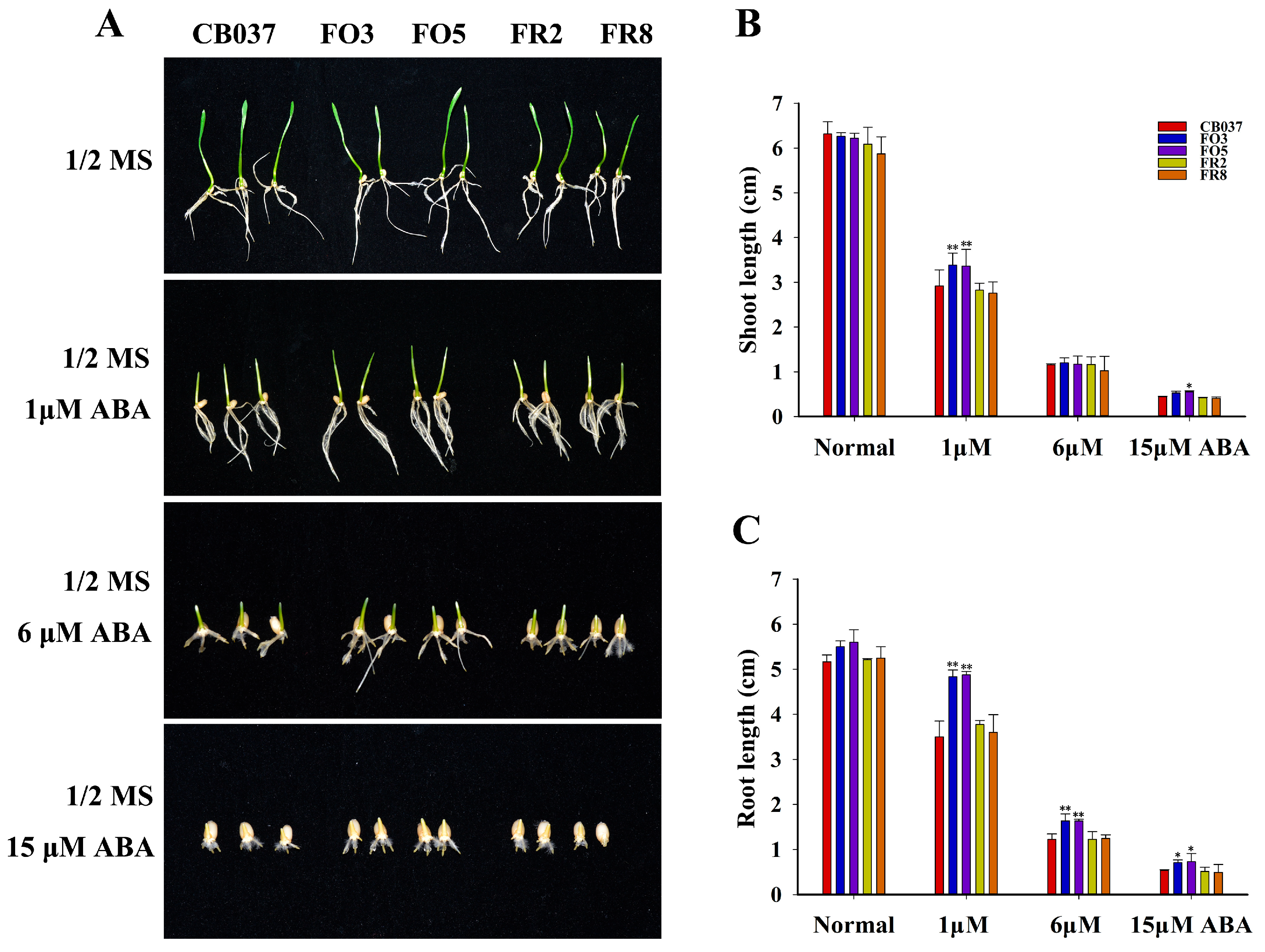 Plants 13 02588 g009