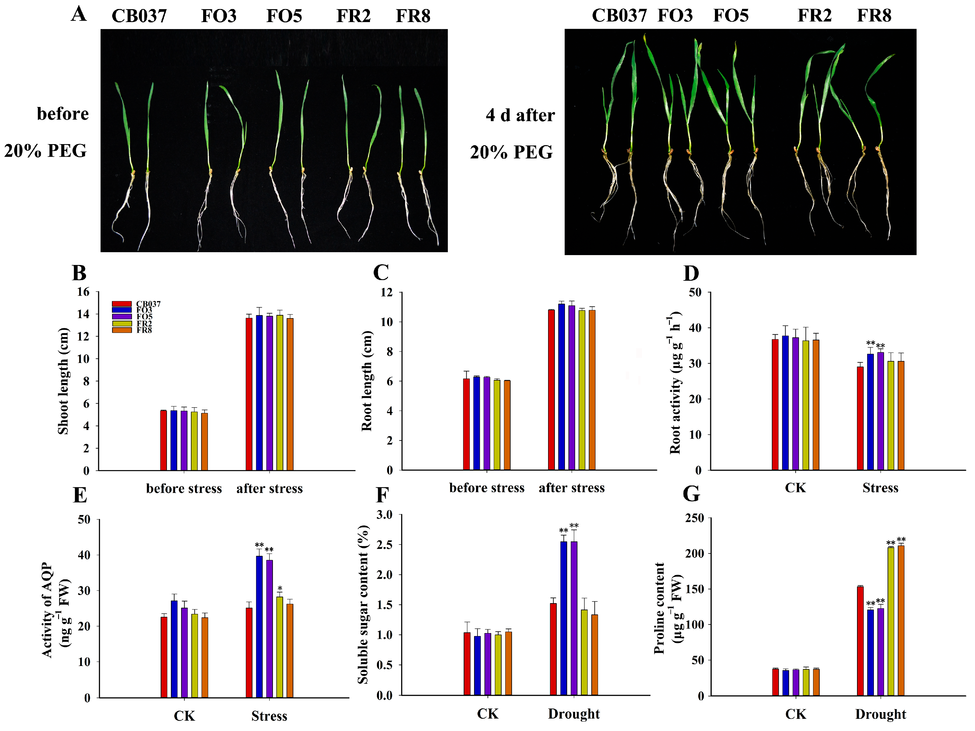 Plants 13 02588 g010