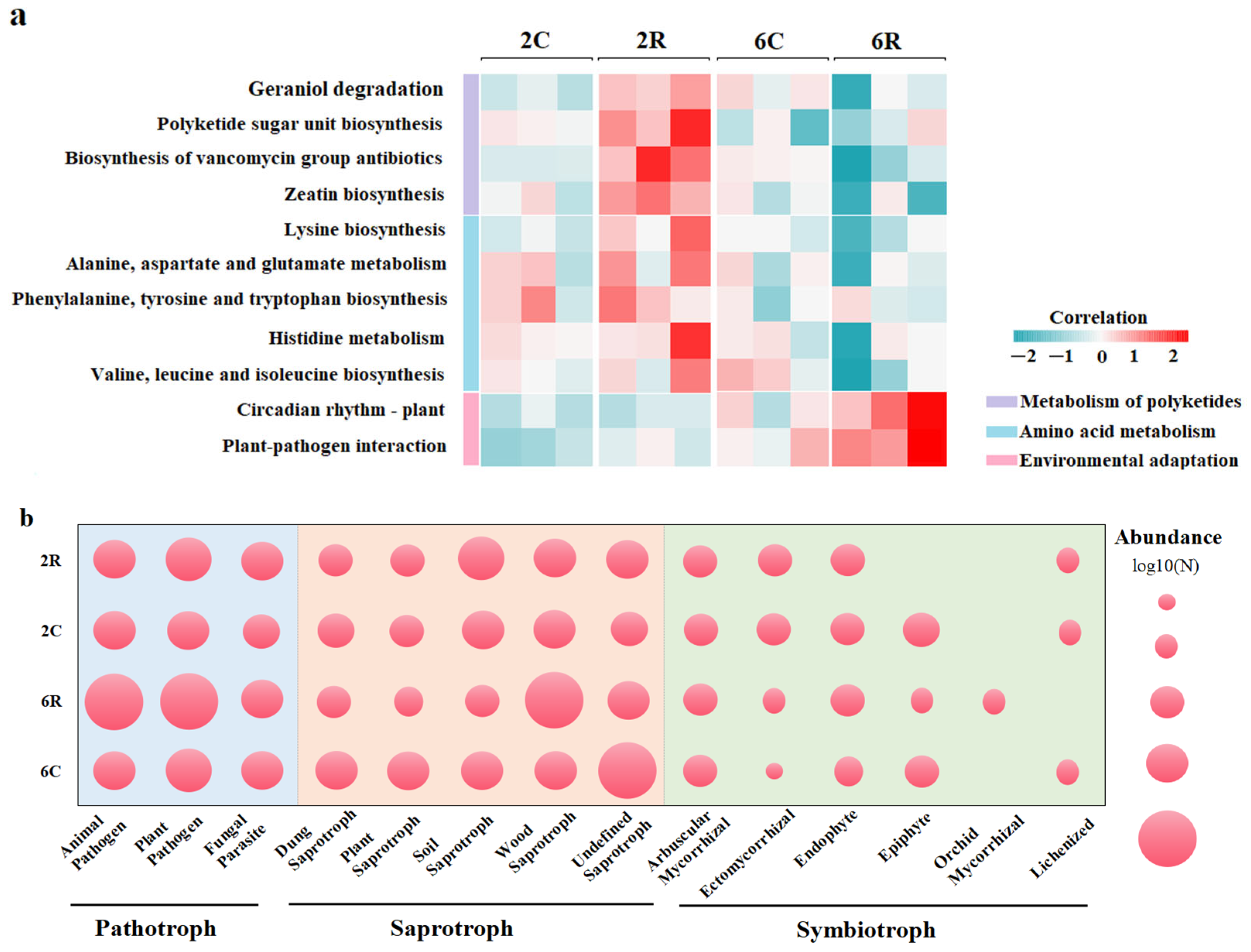 Plants 13 02589 g006