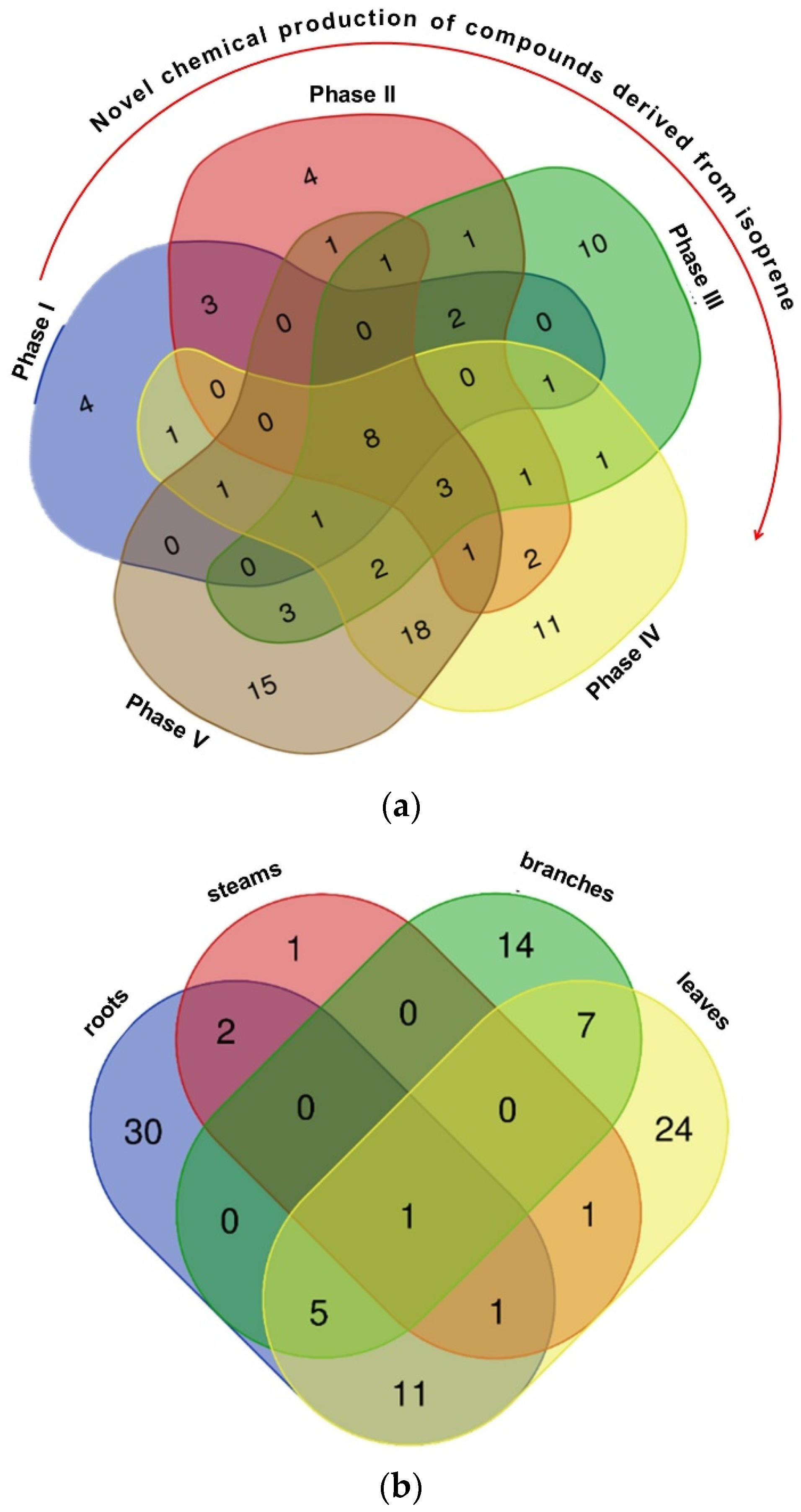 Plants 13 02599 g002