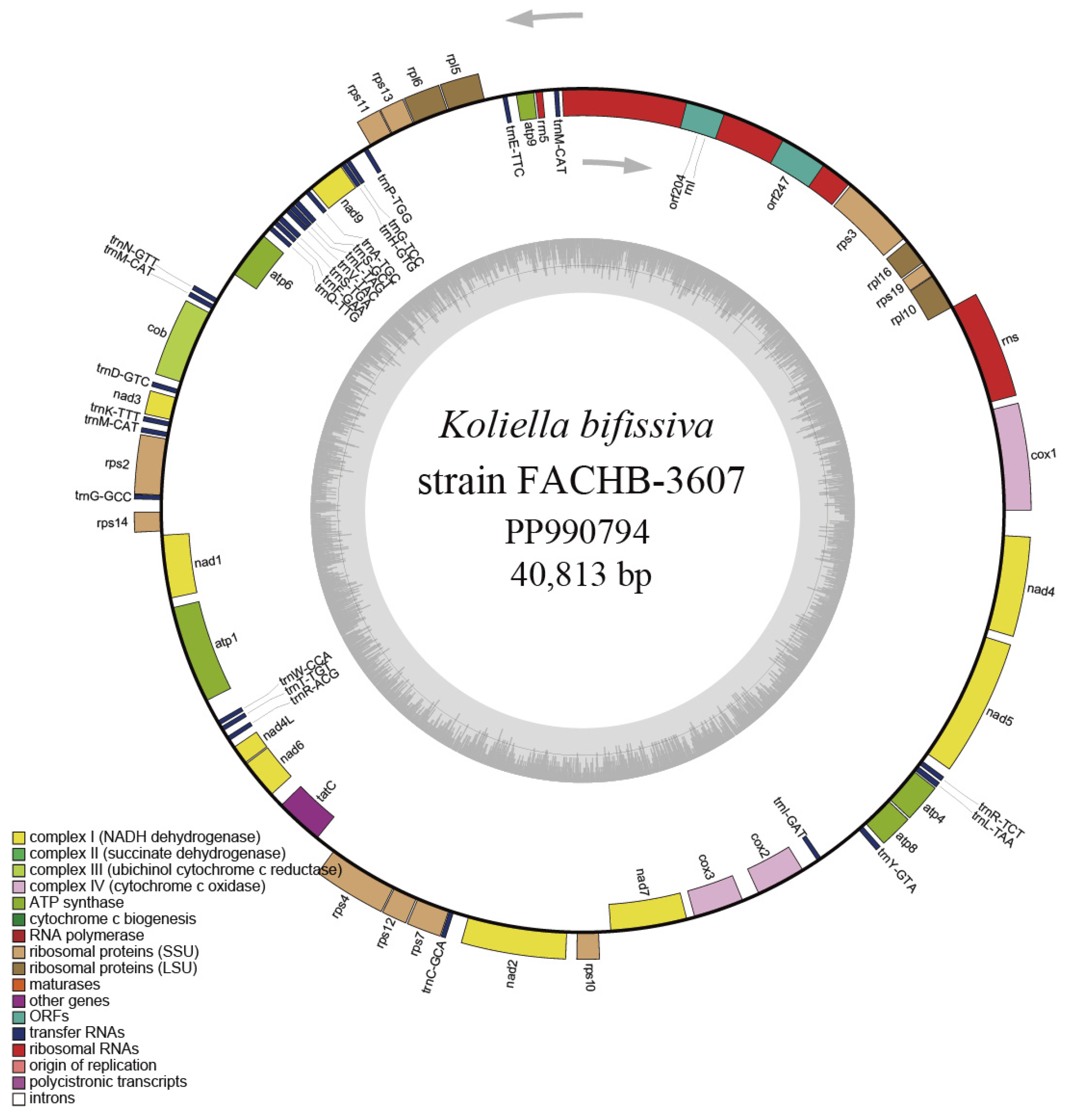 Plants 13 02604 g005