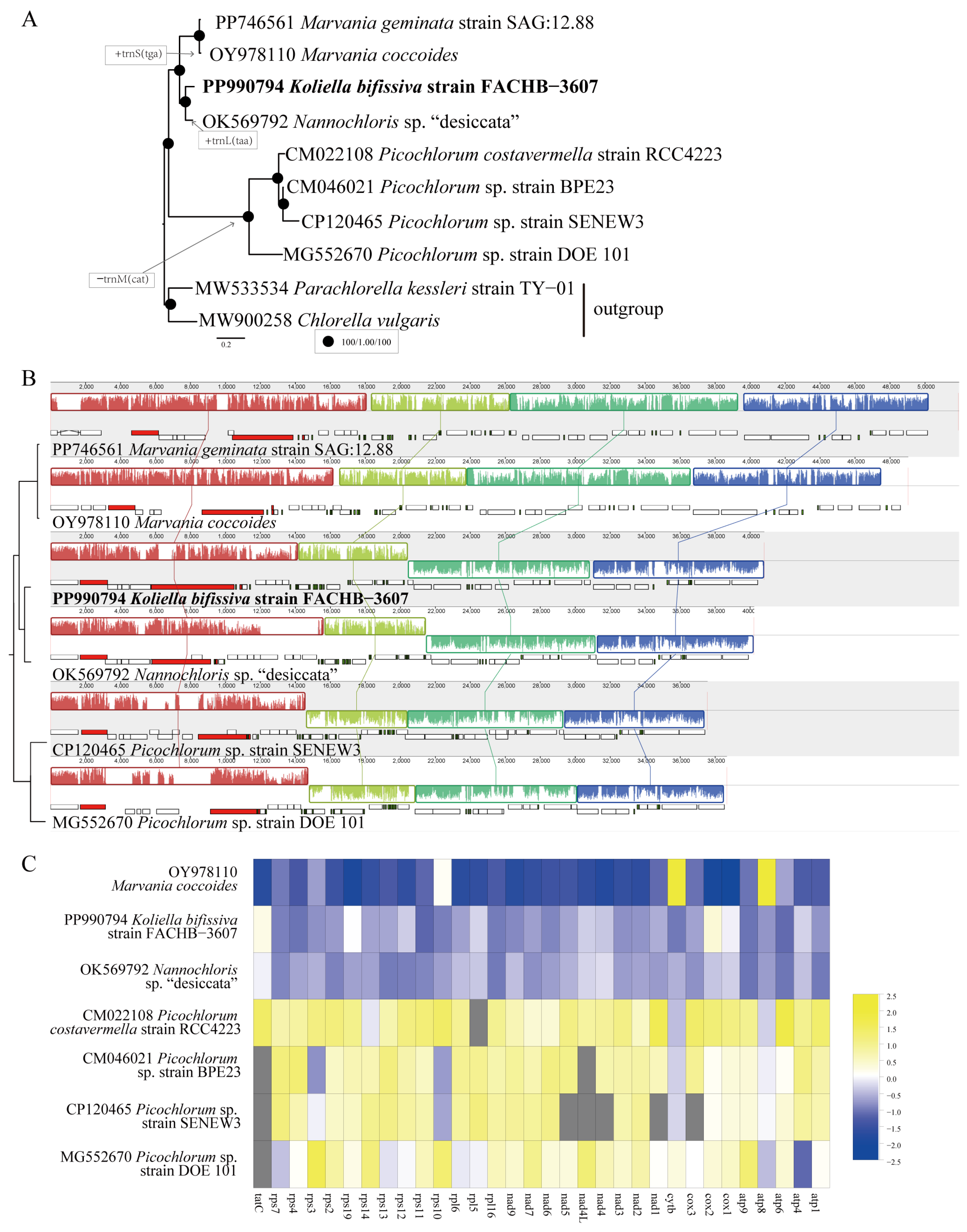 Plants 13 02604 g006
