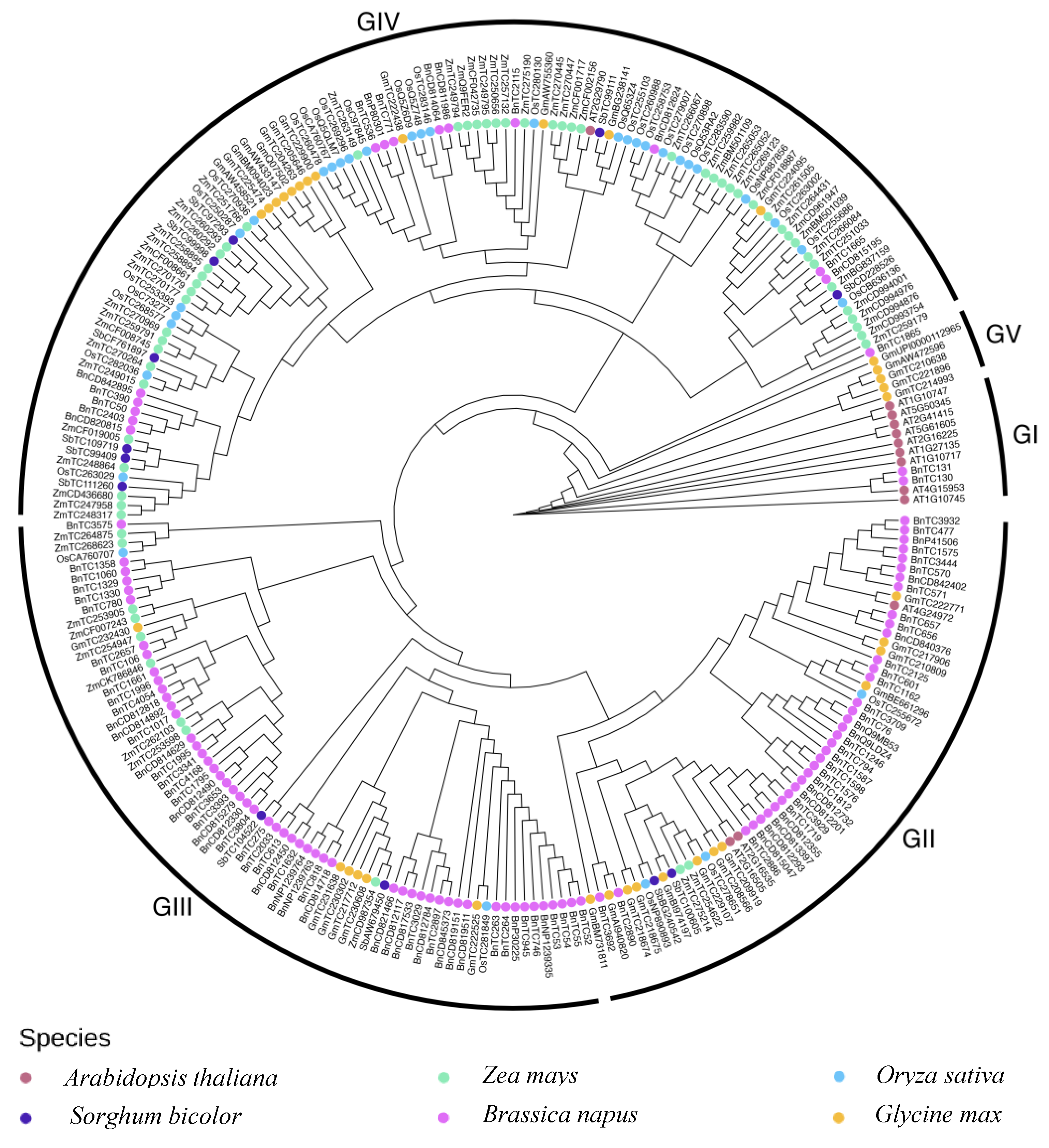 Plants 13 02614 g006