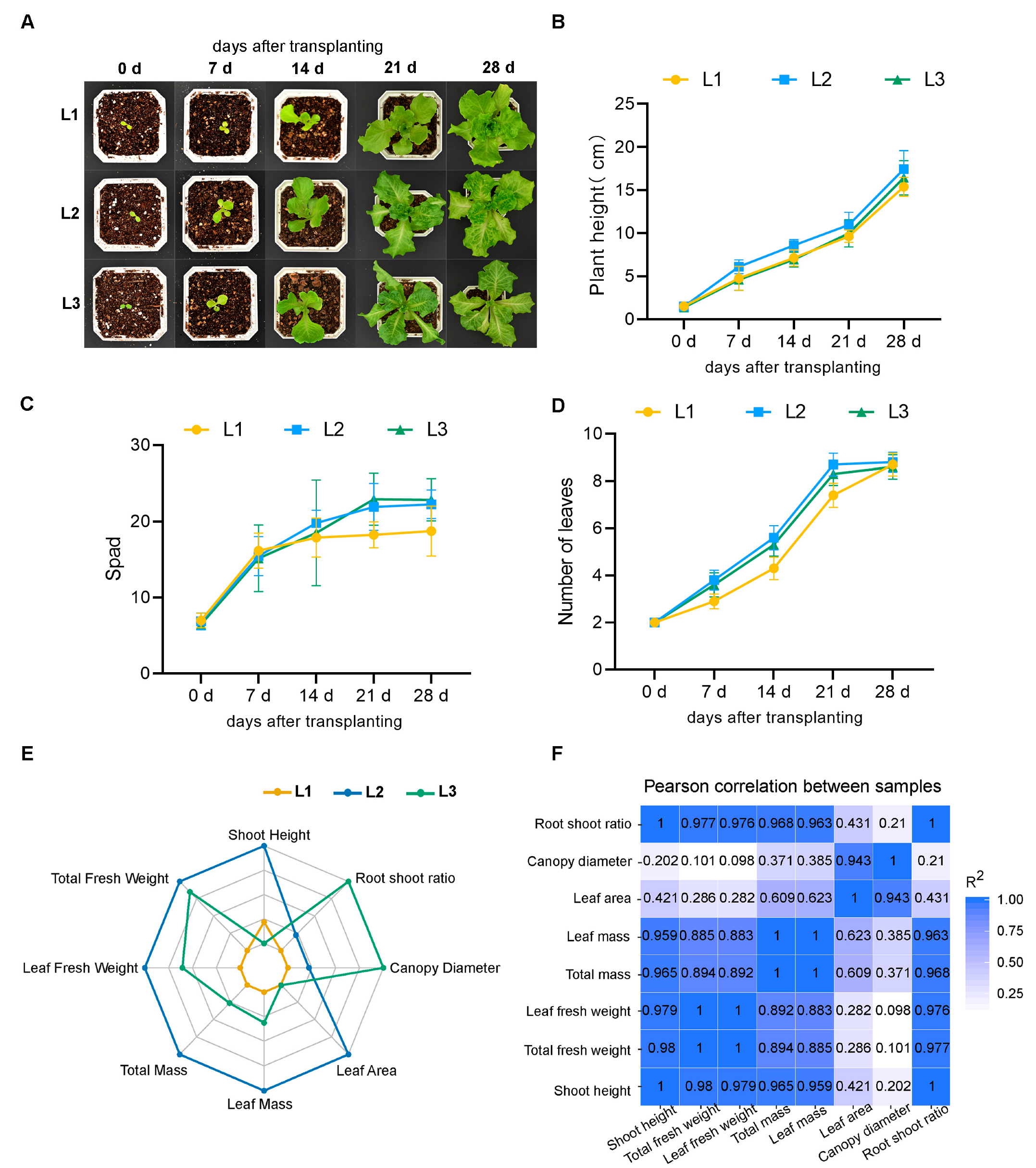 Plants 13 02616 g001