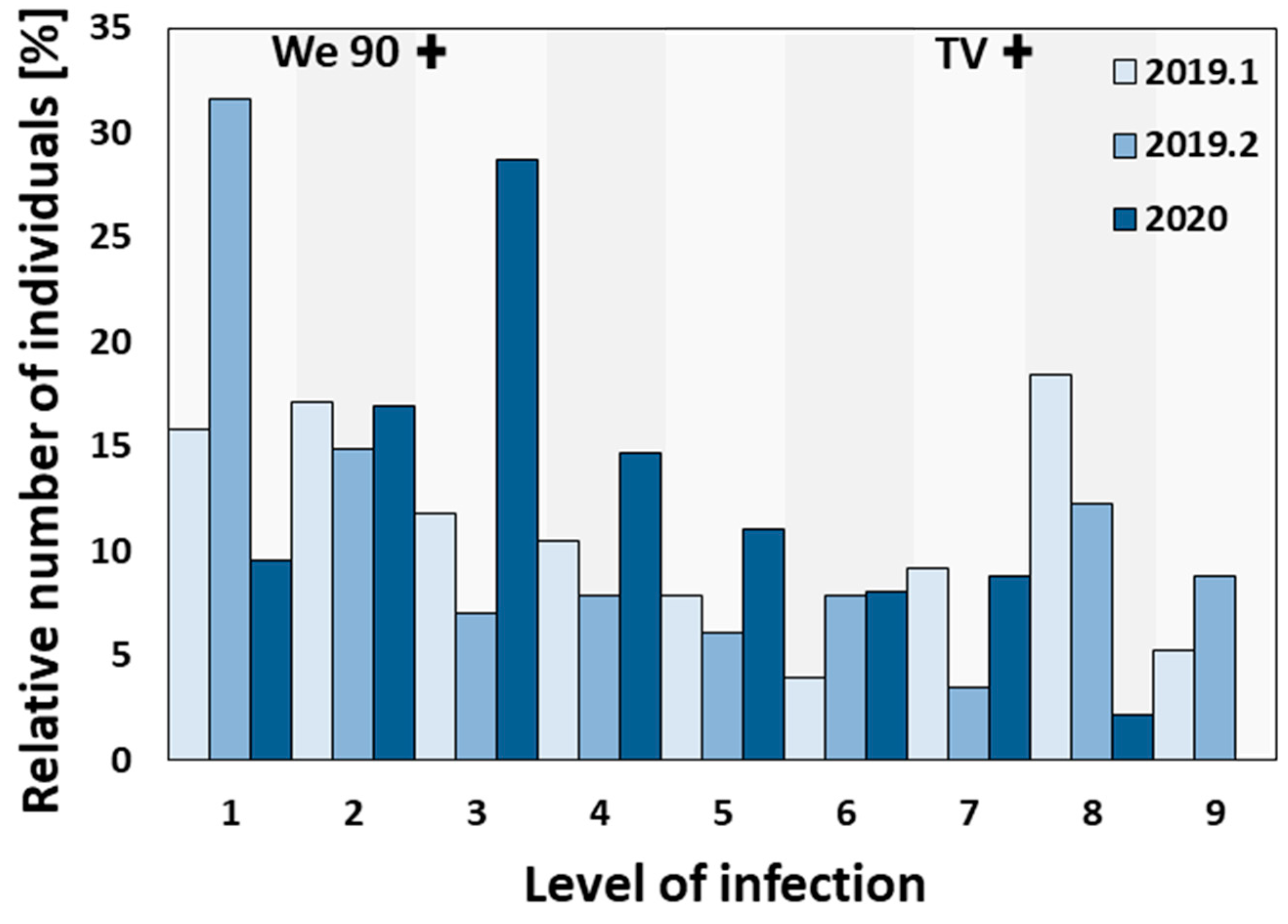 Plants 13 02624 g002