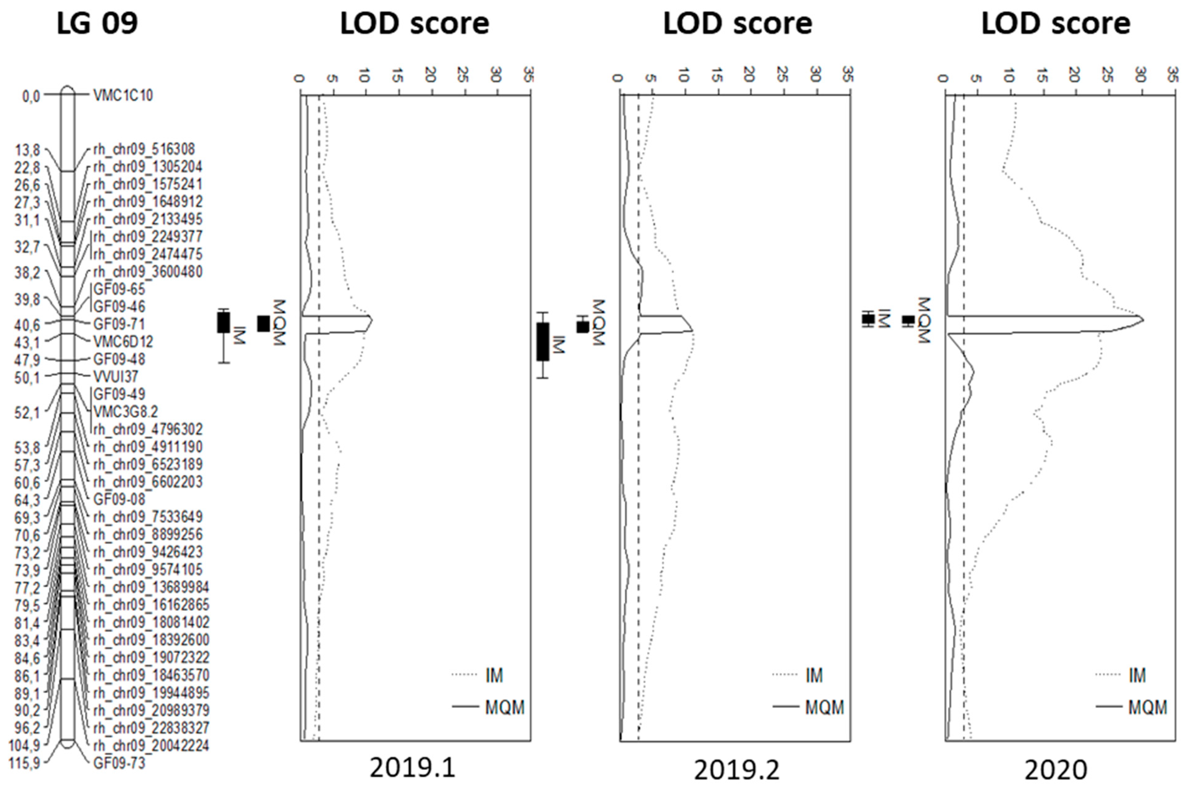 Plants 13 02624 g004