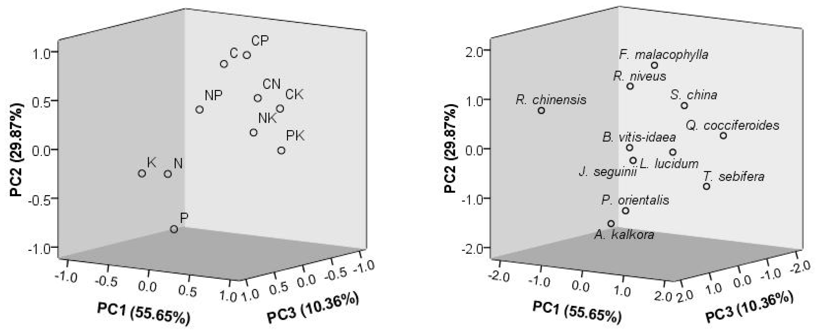 Plants 13 02626 g001