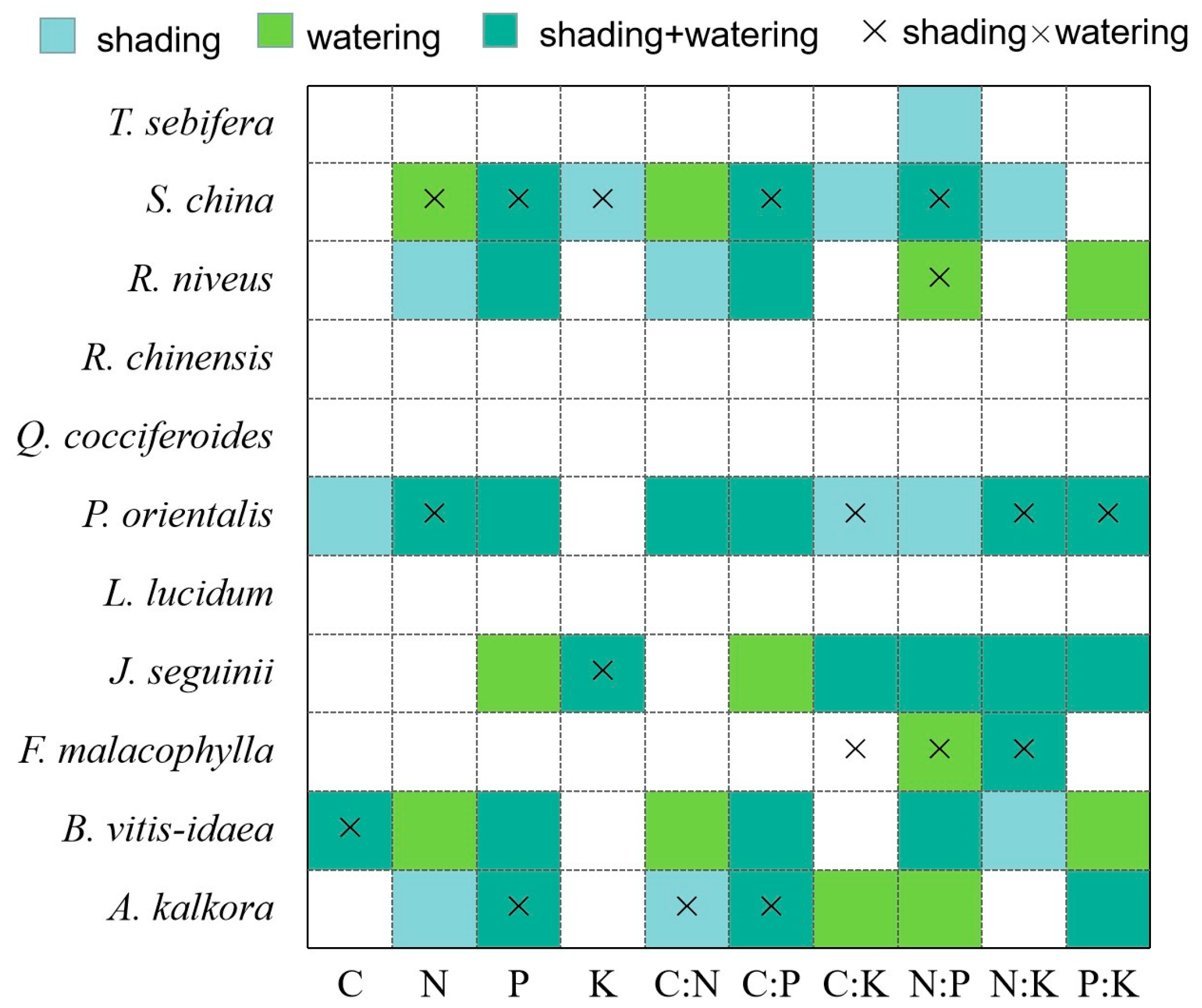 Plants 13 02626 g003