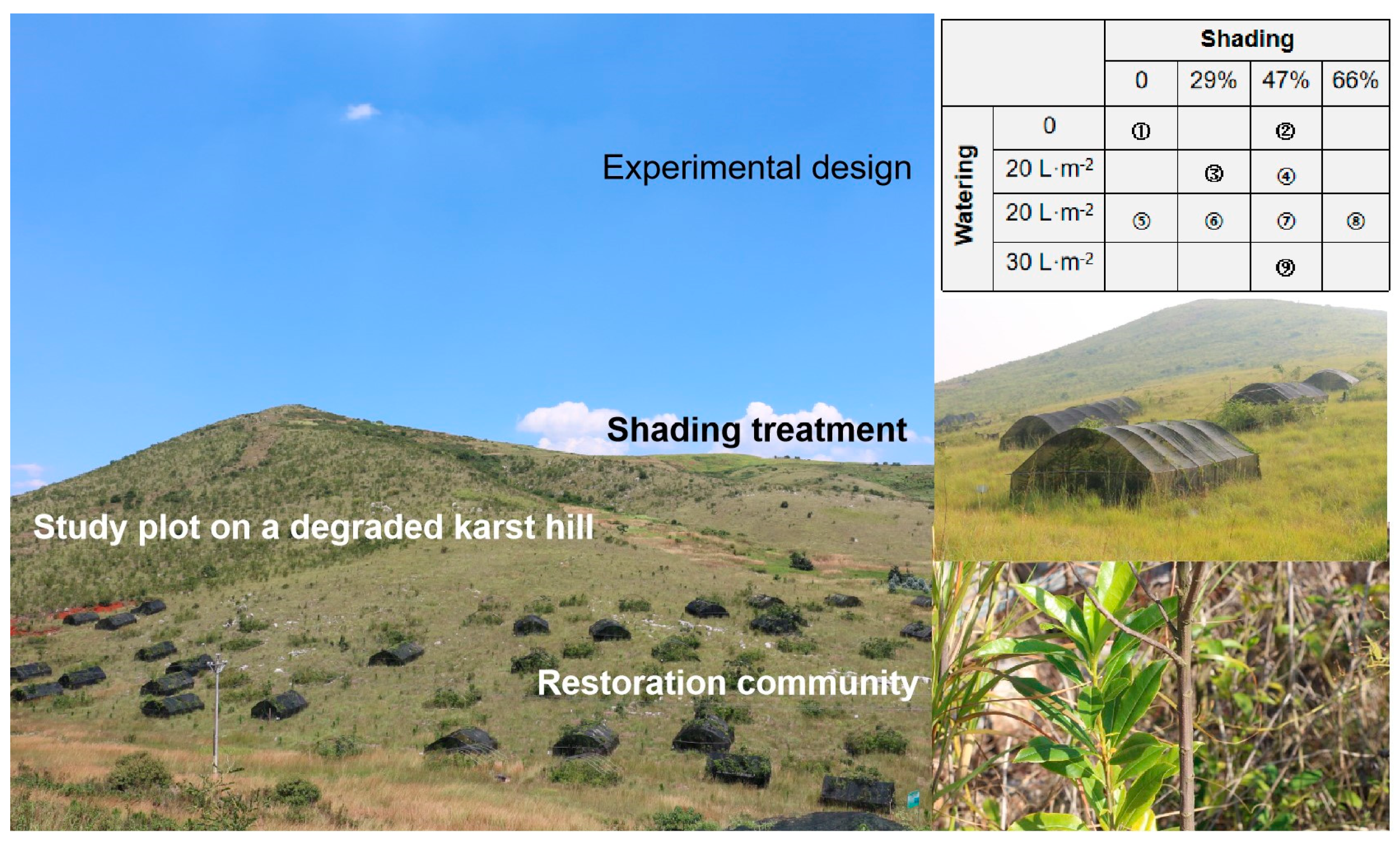 Plants 13 02626 g004