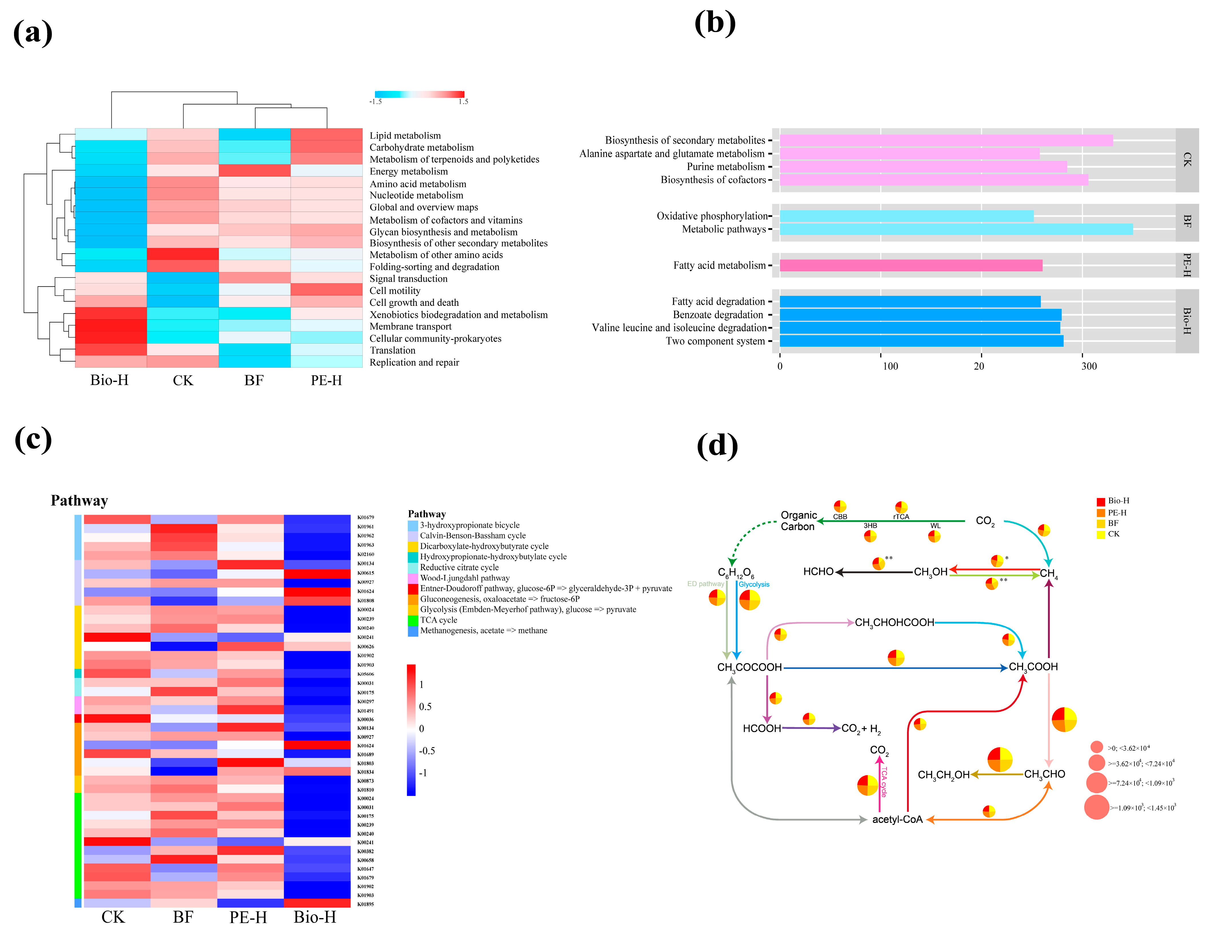 Plants 13 02627 g004