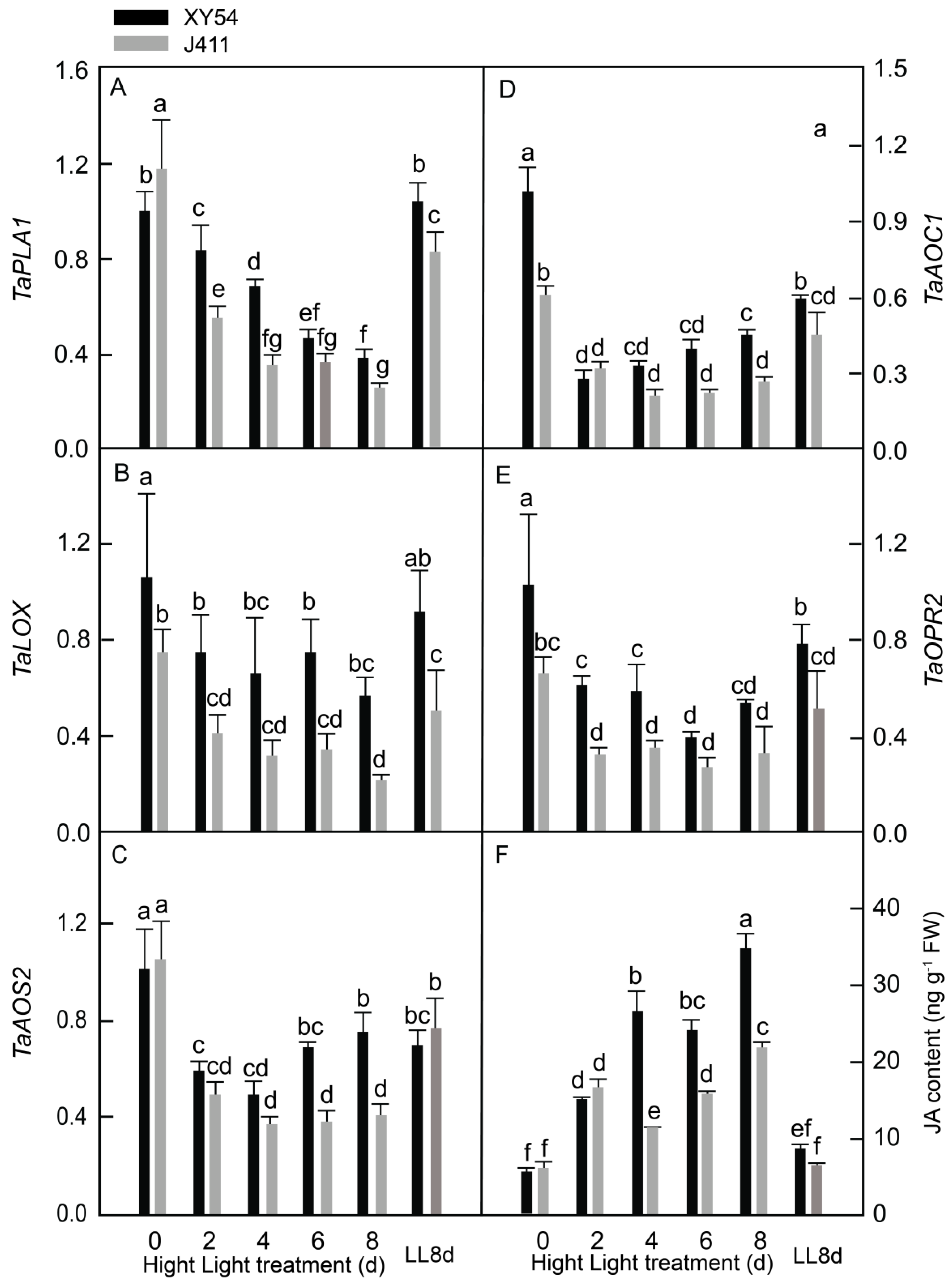 Plants 13 02628 g004