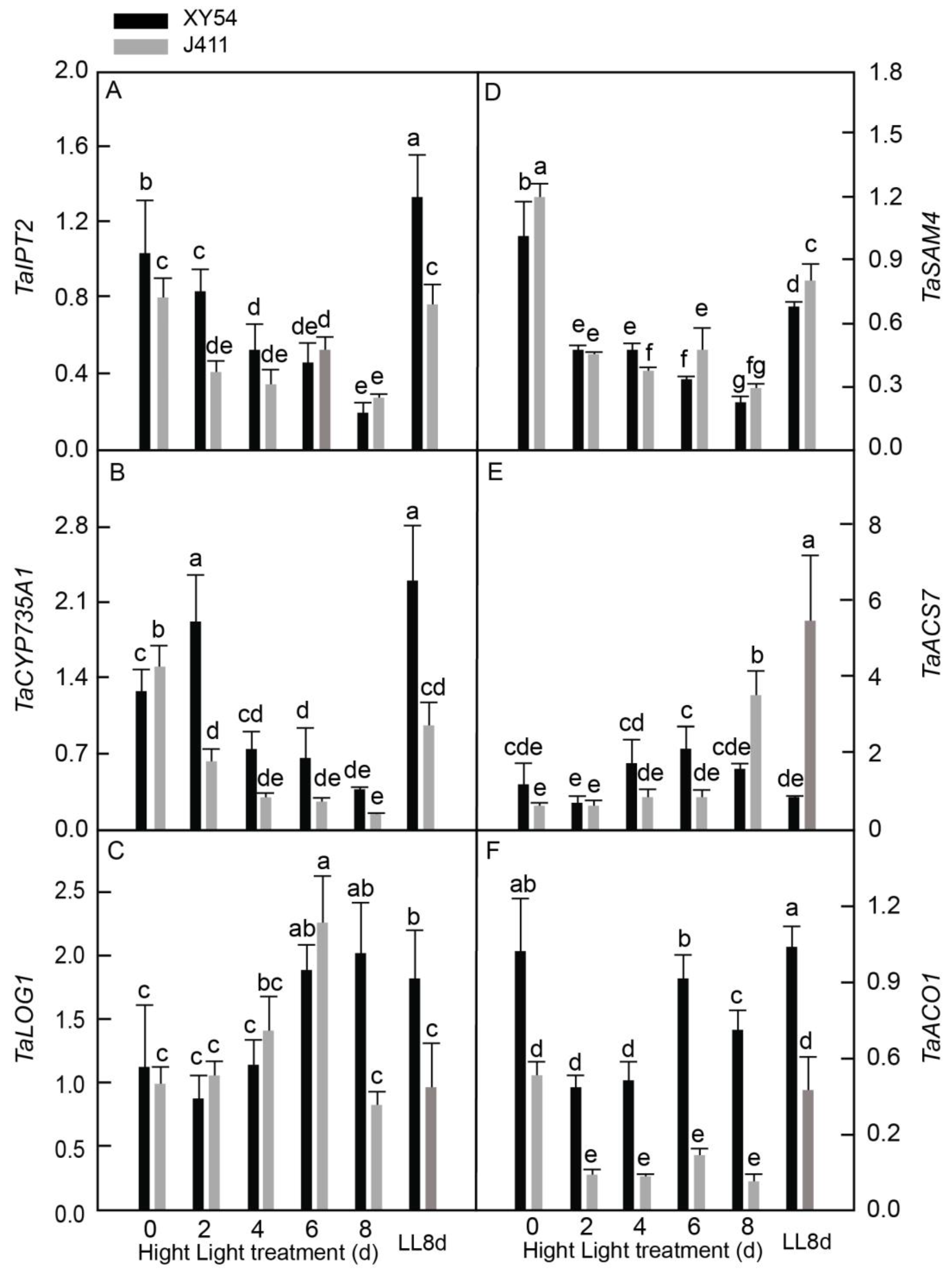 Plants 13 02628 g006