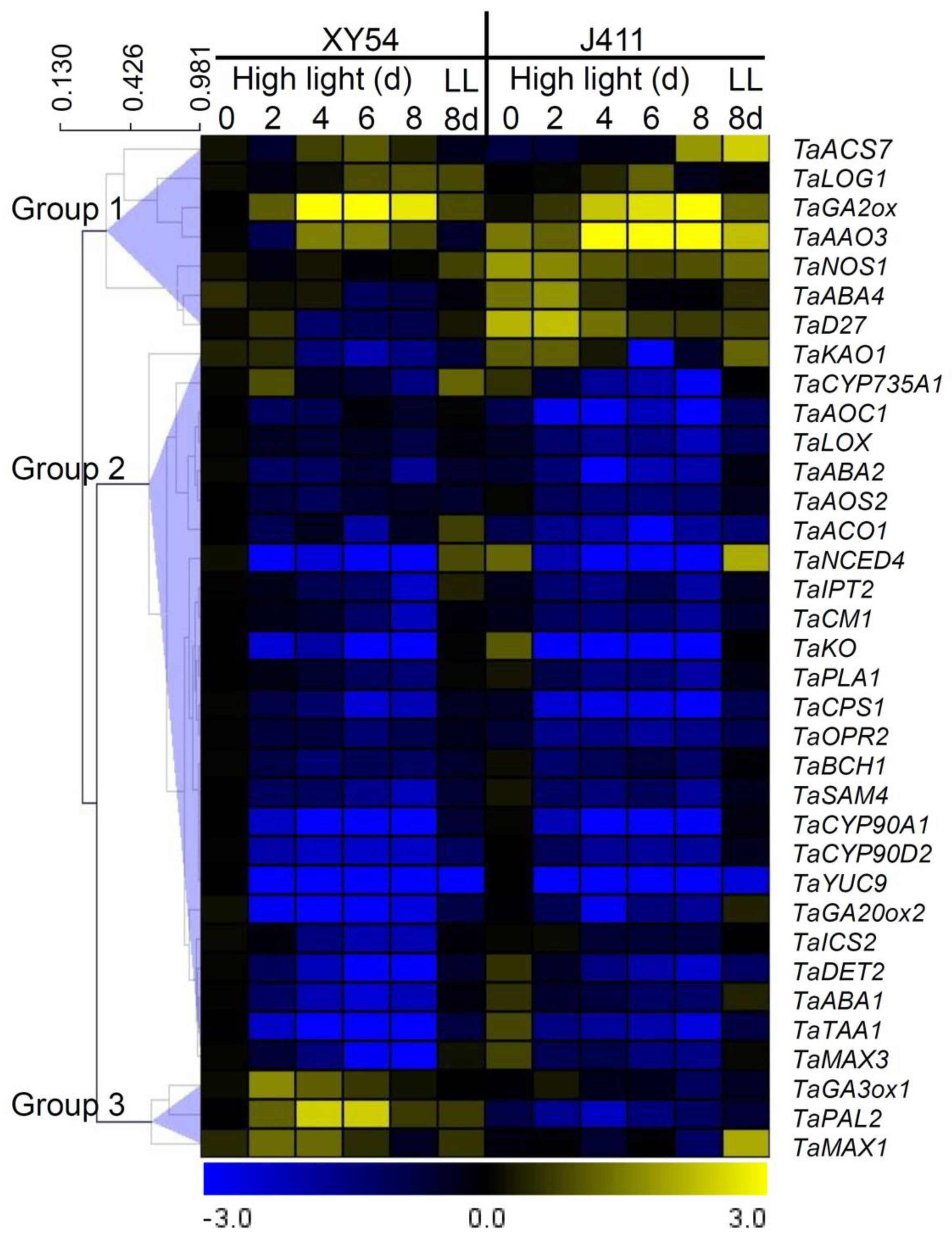 Plants 13 02628 g009