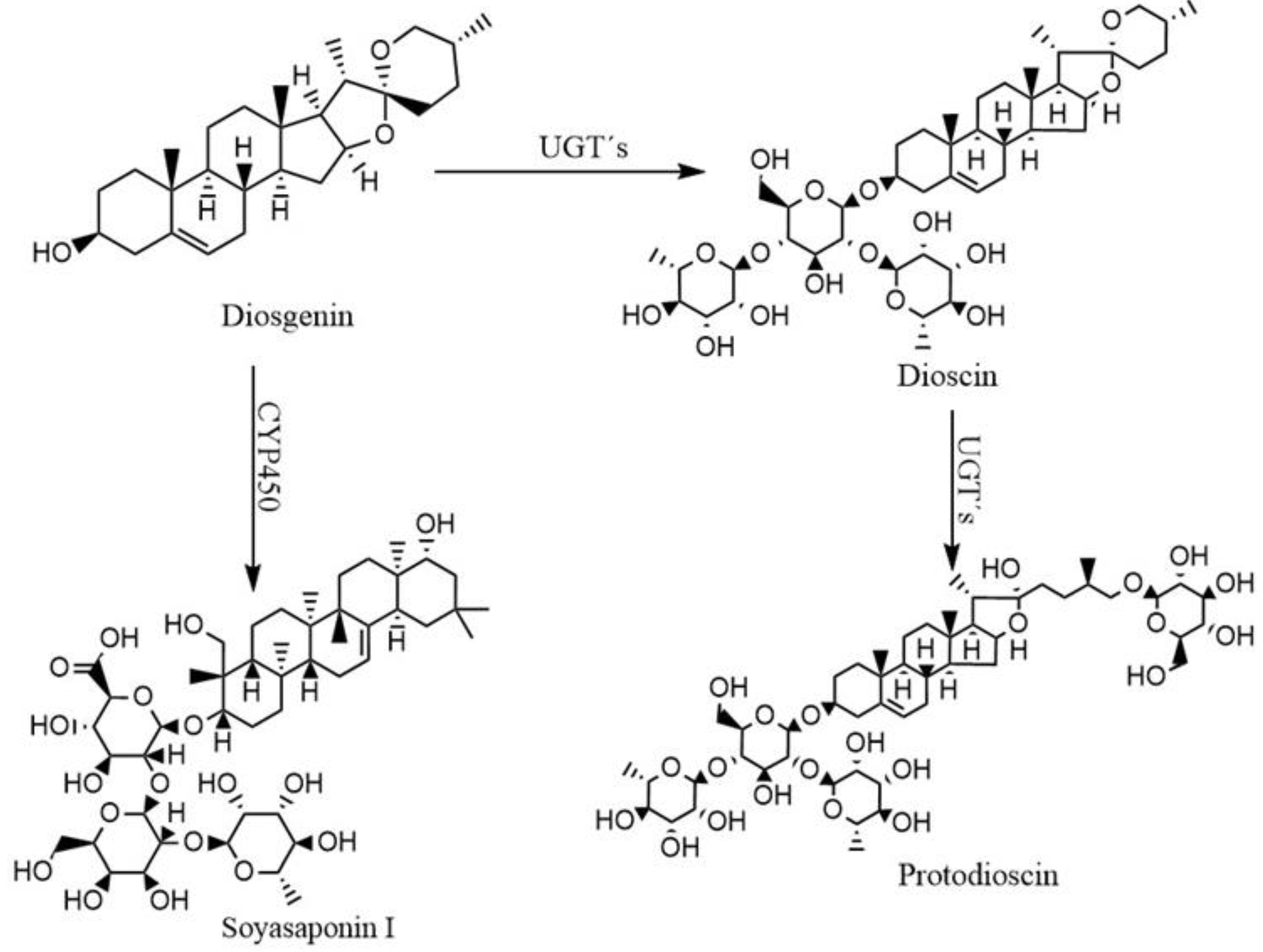 Plants 13 02629 g002