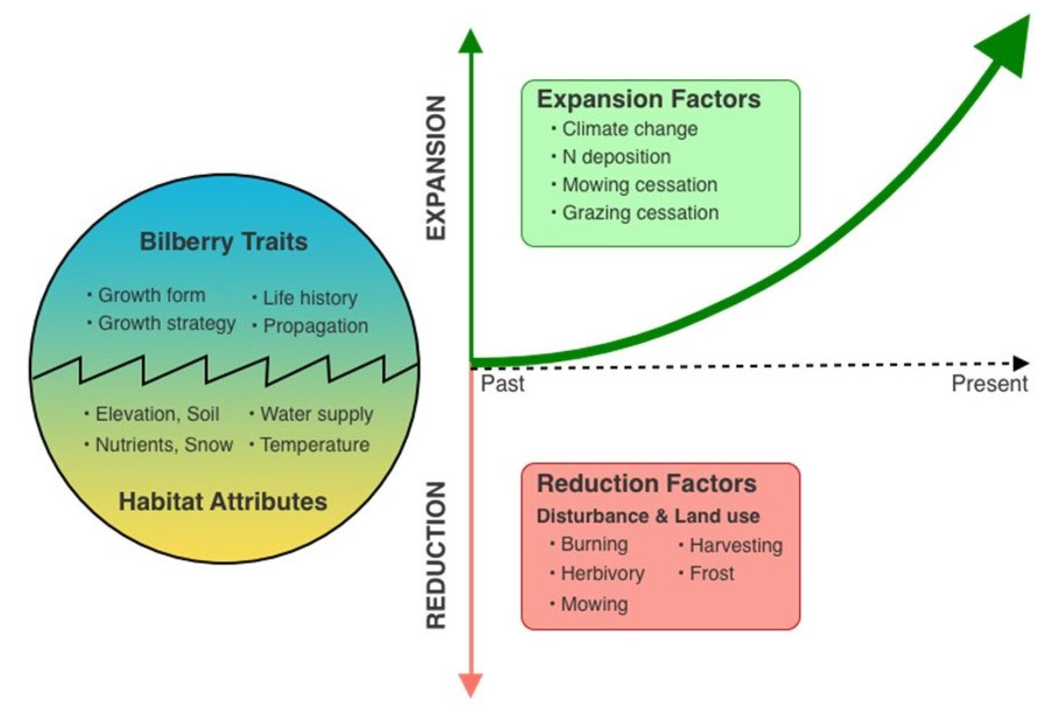 Plants 13 02633 g001 Plants 13 02633 g001