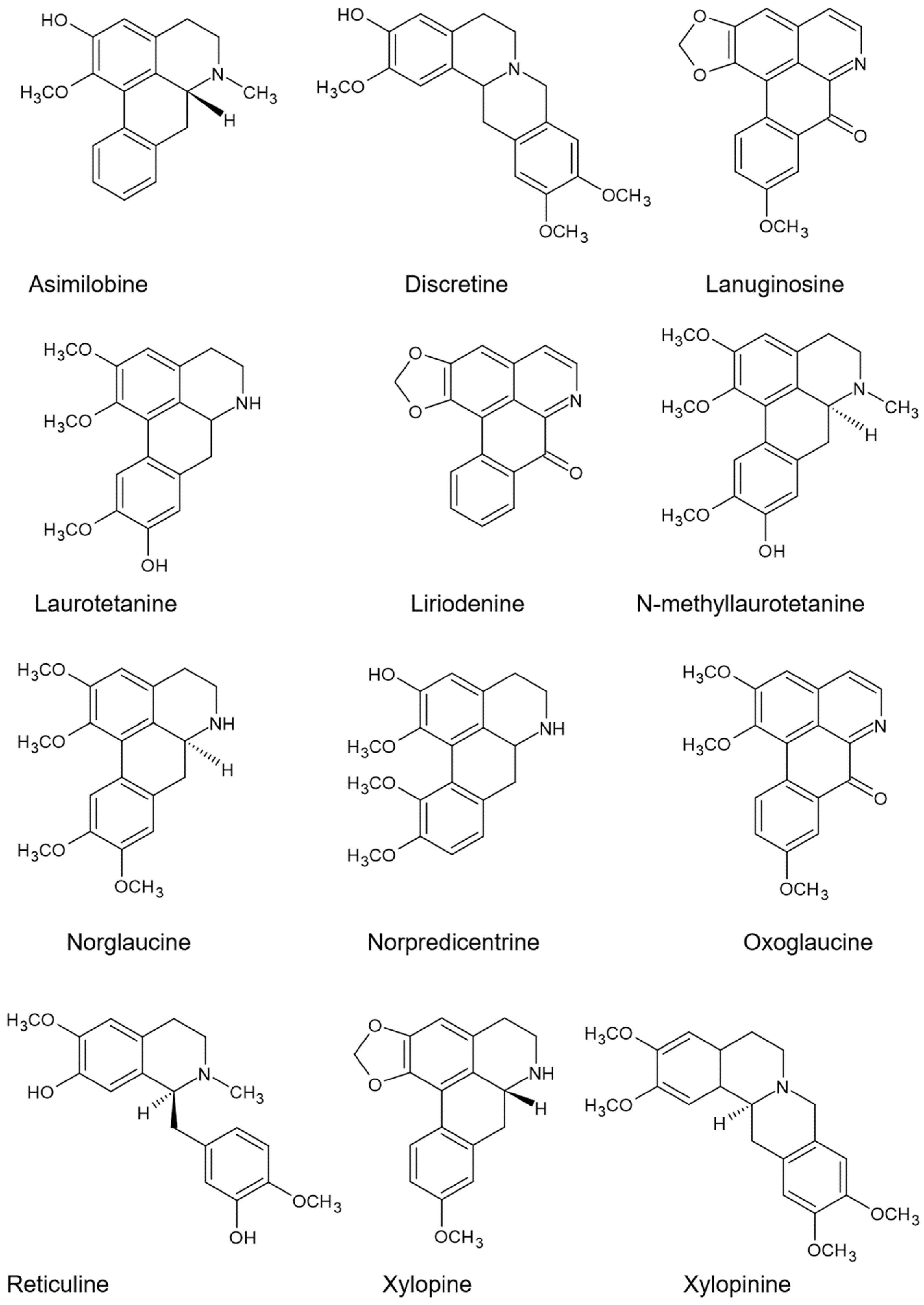 Plants 13 02637 g001 Plants 13 02637 g001