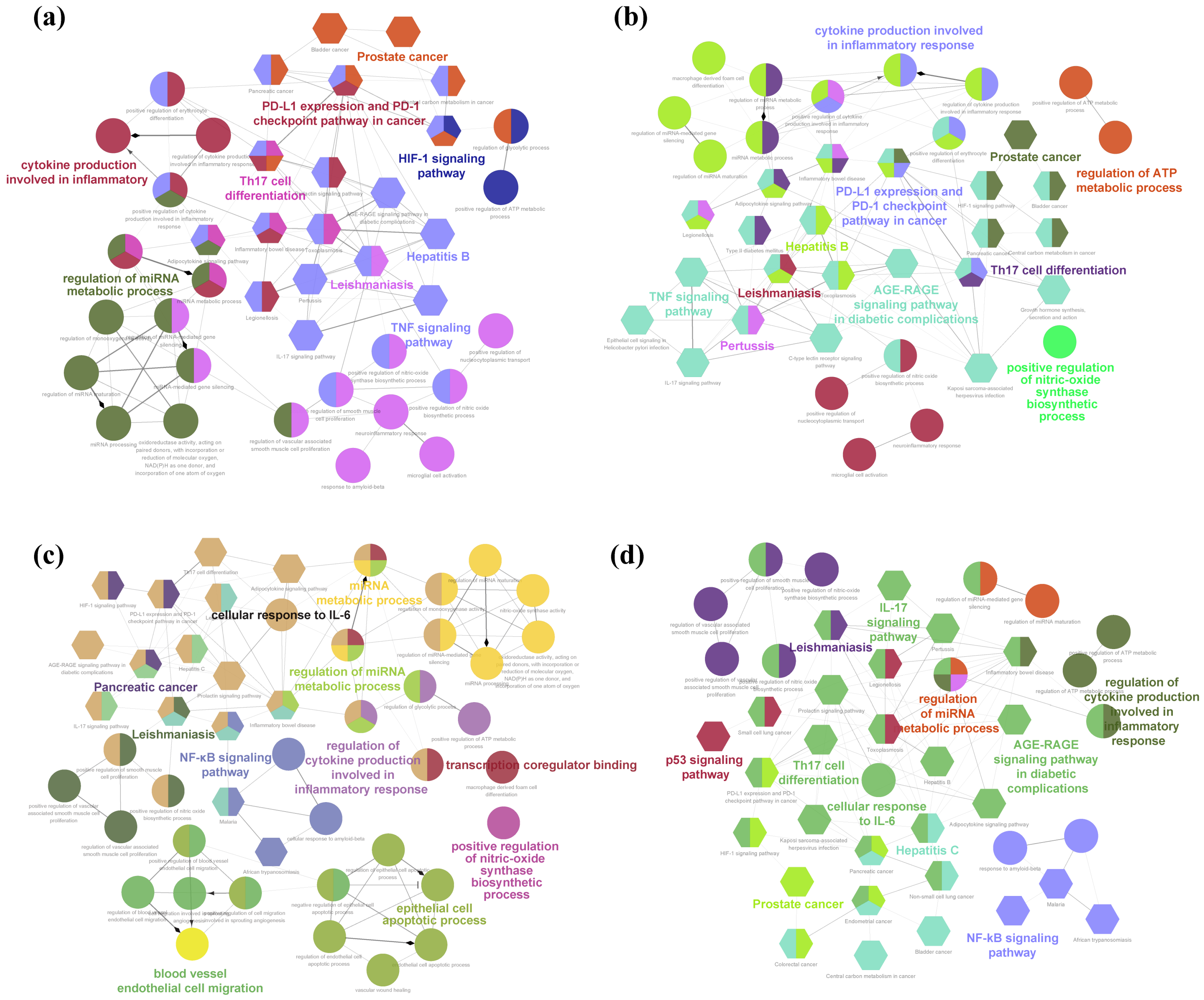 Plants 13 02640 g005