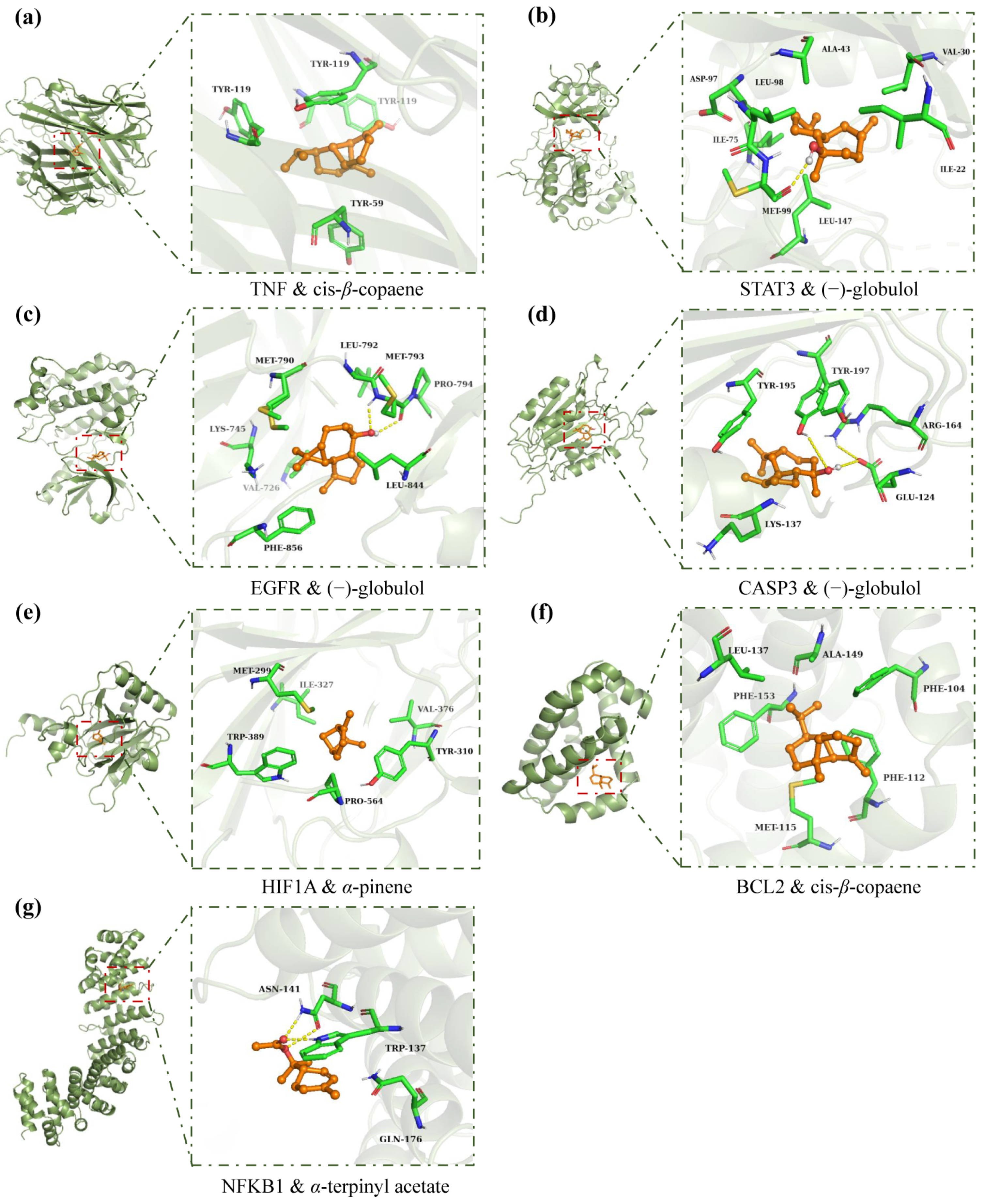 Plants 13 02640 g006
