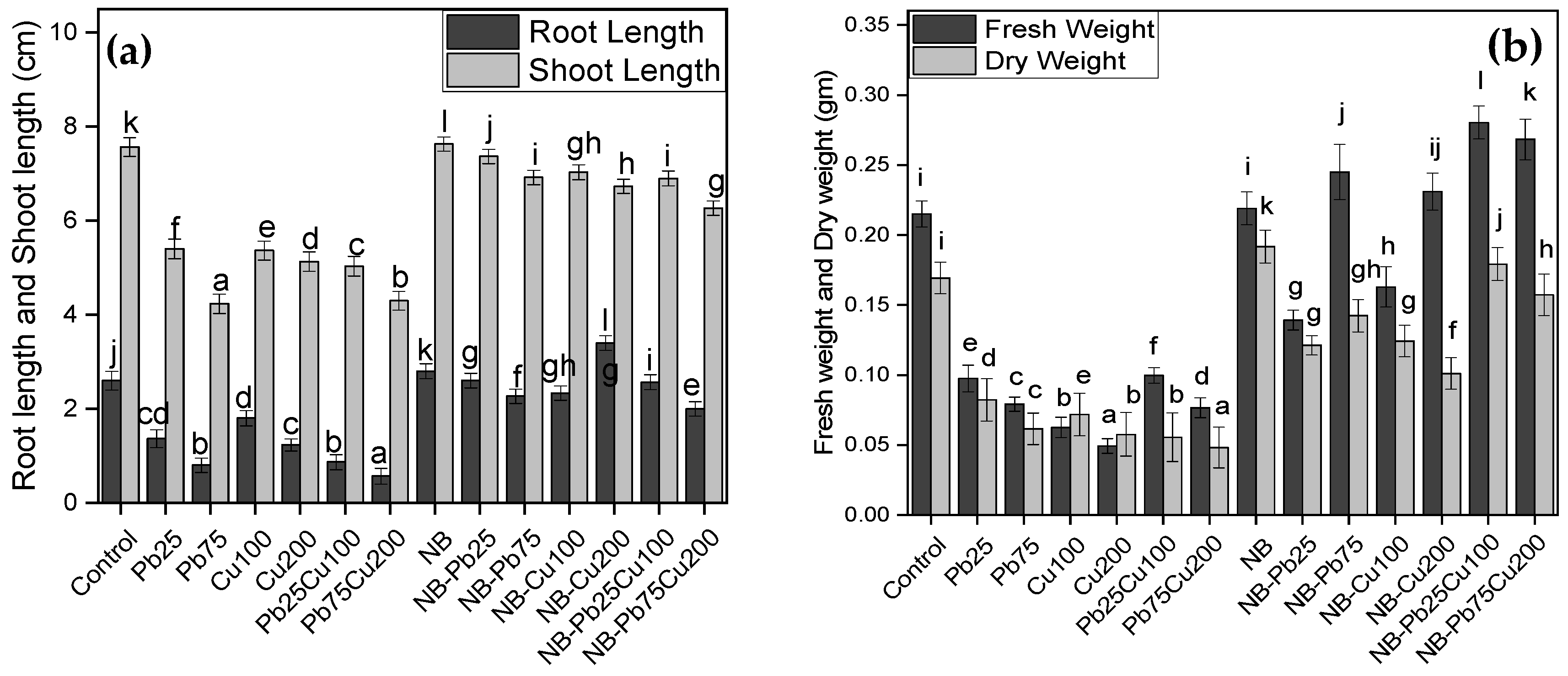 Plants 13 02643 g004