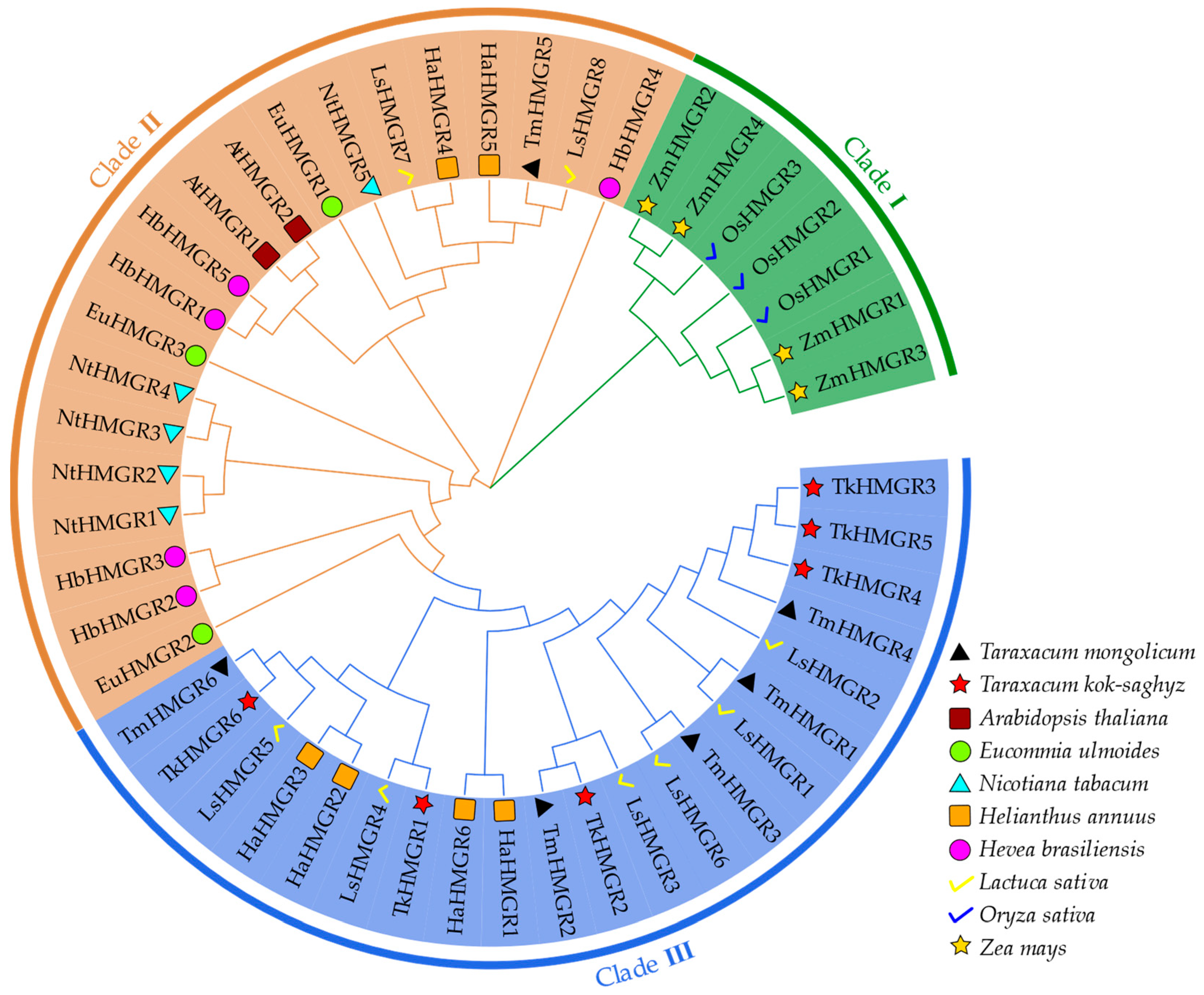 Plants 13 02646 g003