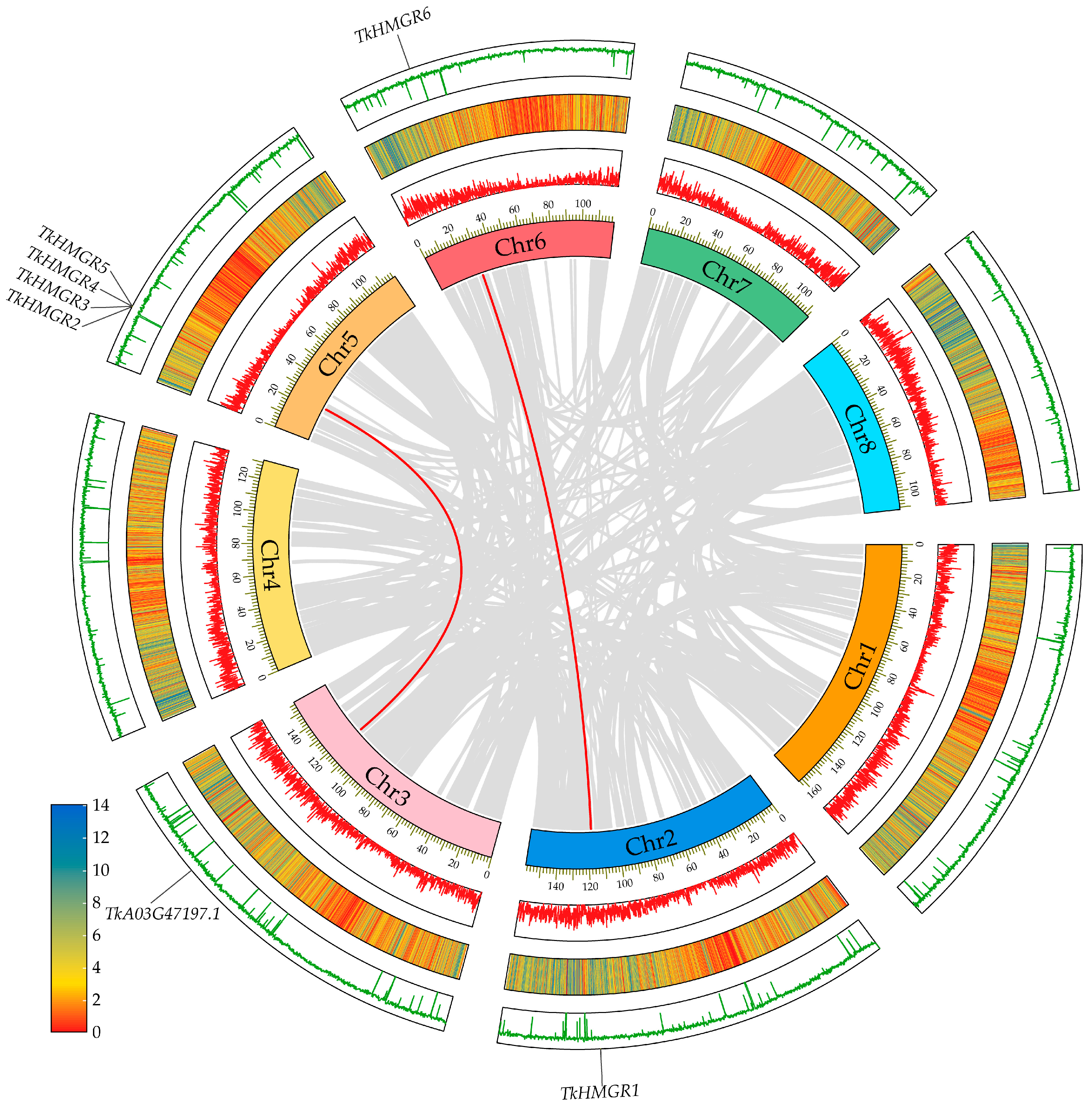 Plants 13 02646 g004