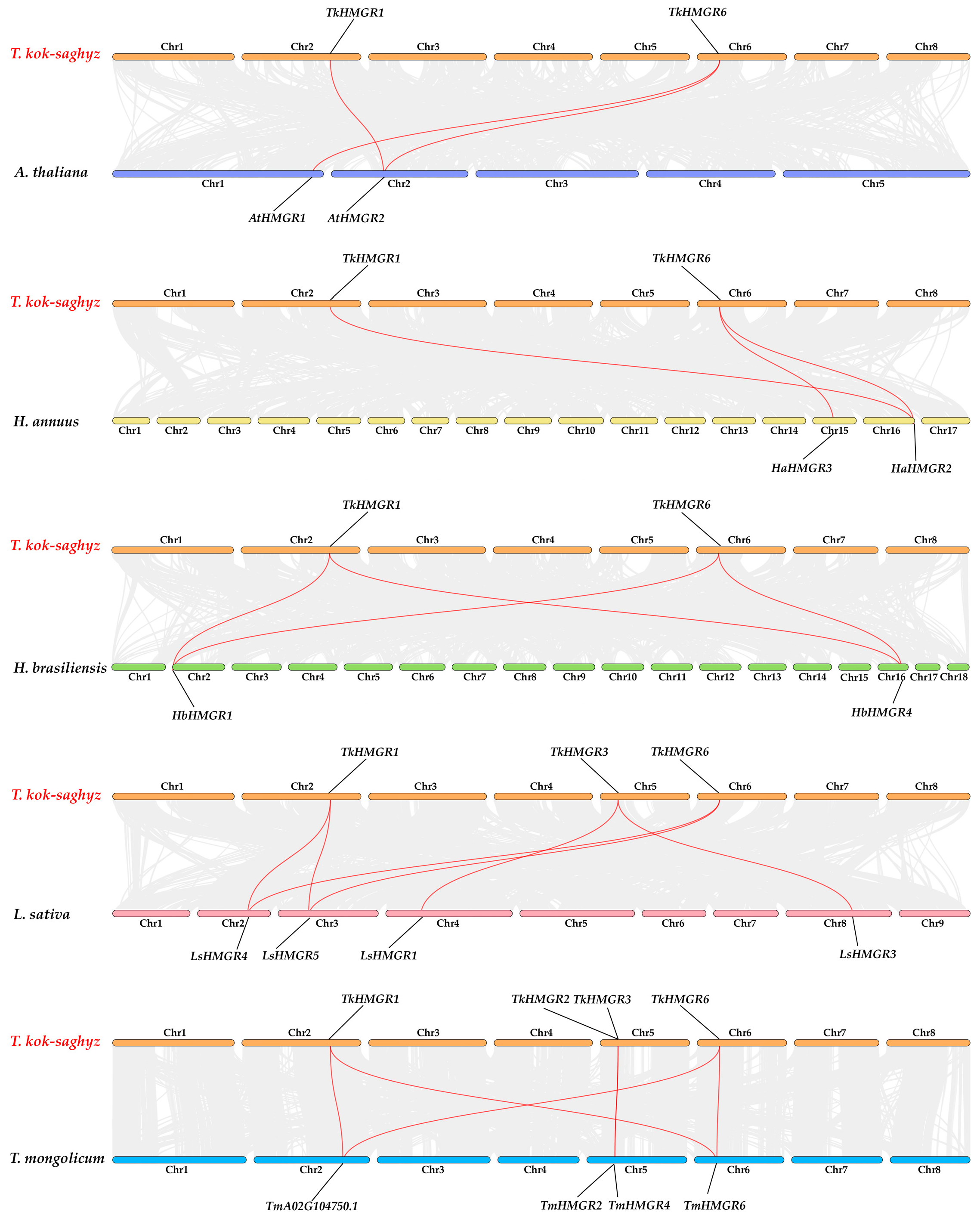 Plants 13 02646 g005