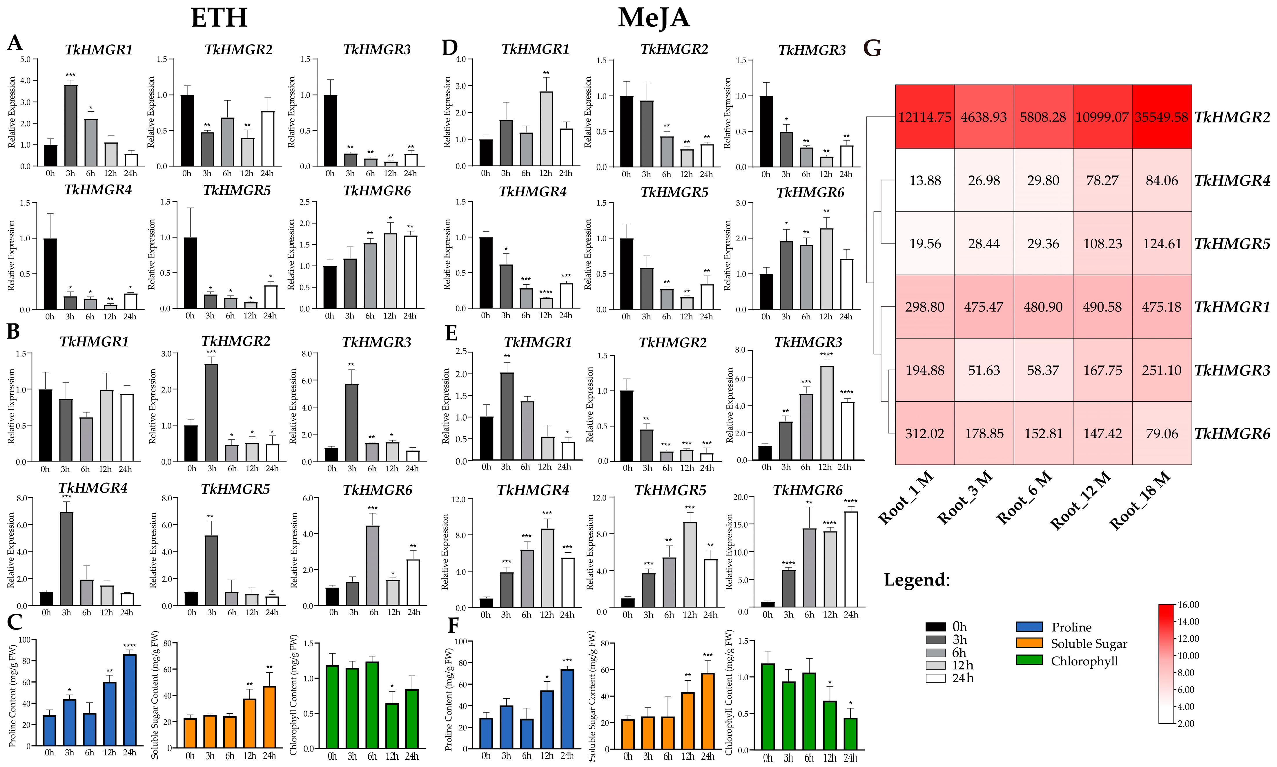 Plants 13 02646 g007