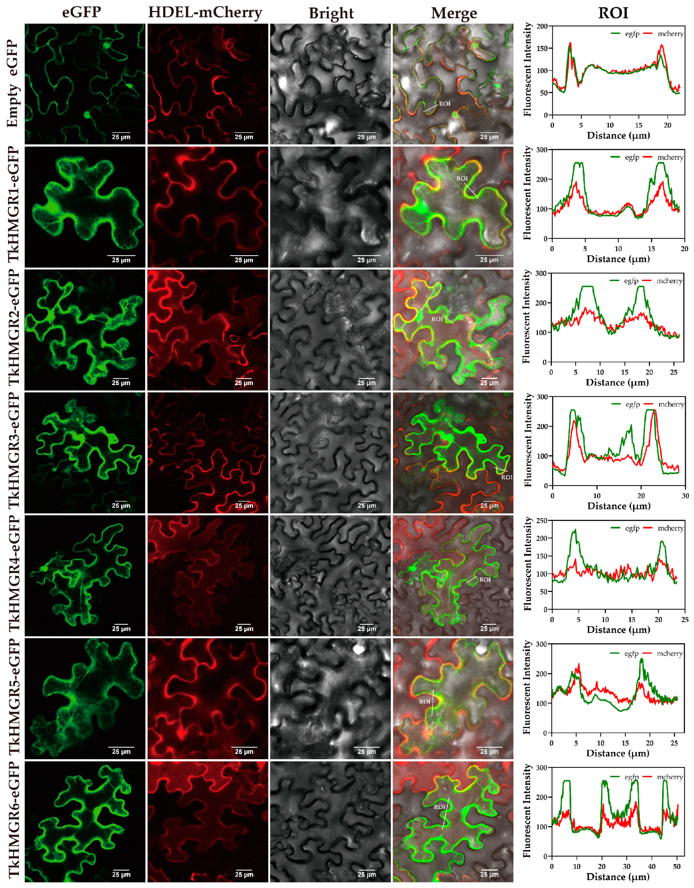 Plants 13 02646 g008