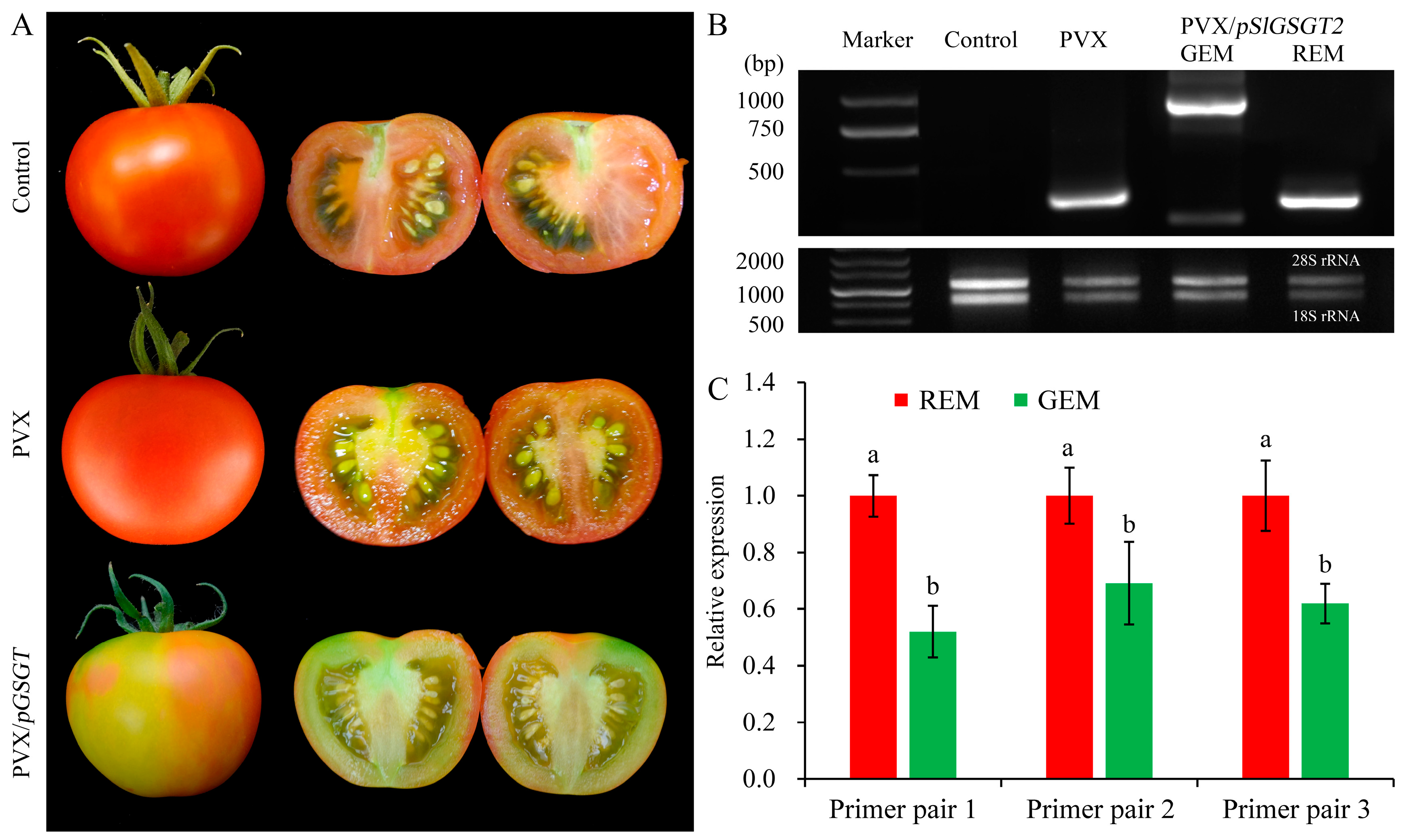 Plants 13 02650 g004 Plants 13 02650 g004