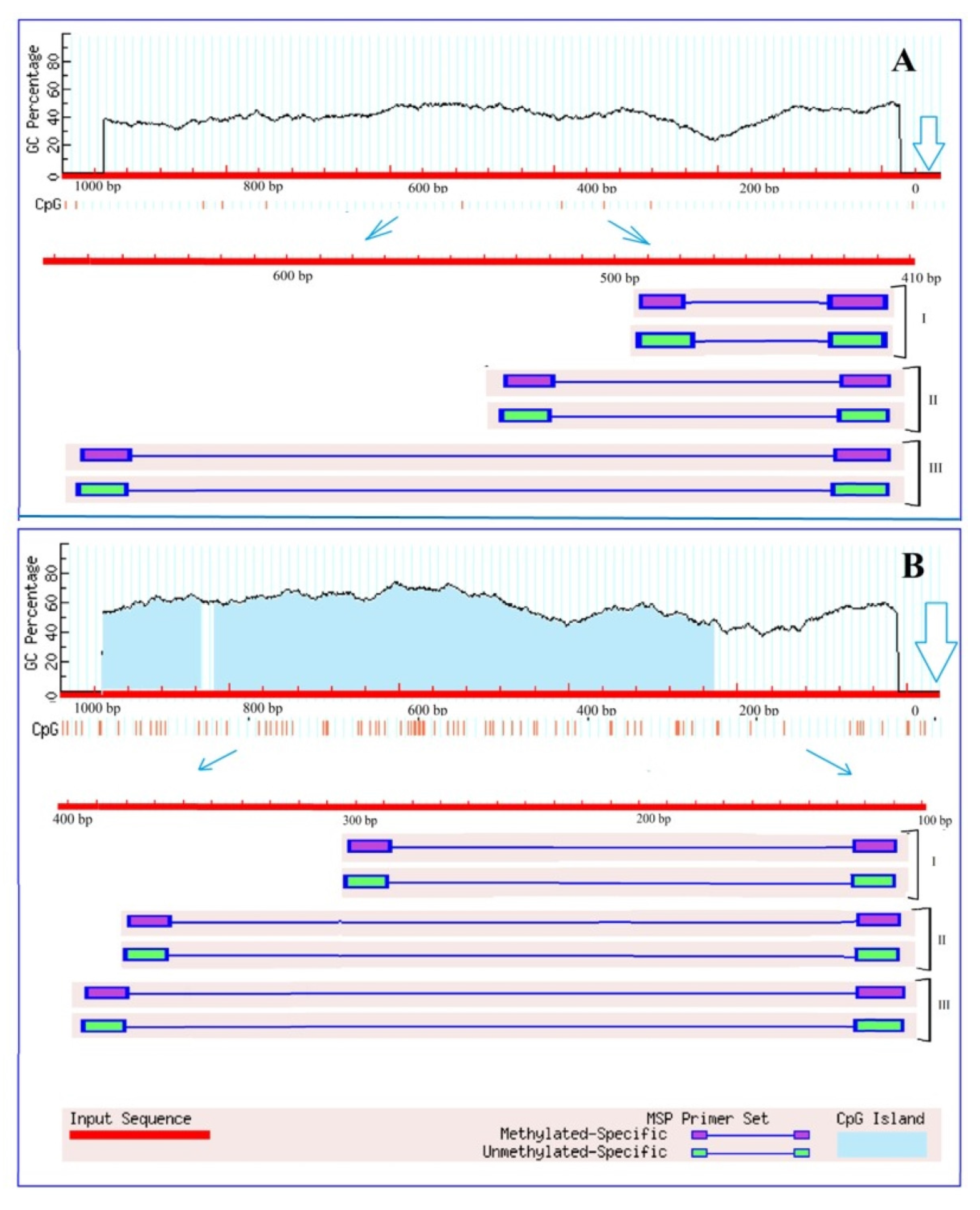 Plants 13 02651 g002