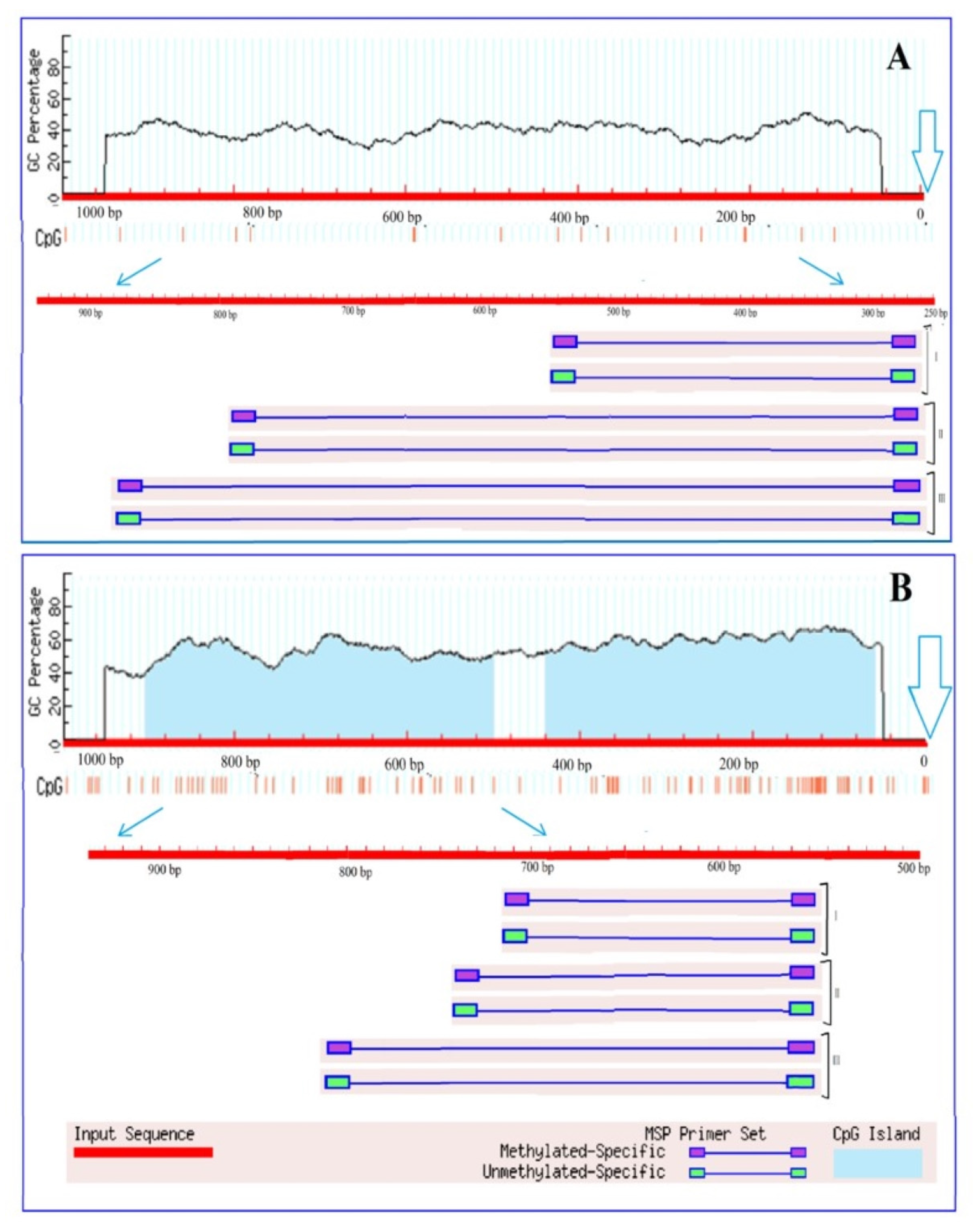 Plants 13 02651 g005
