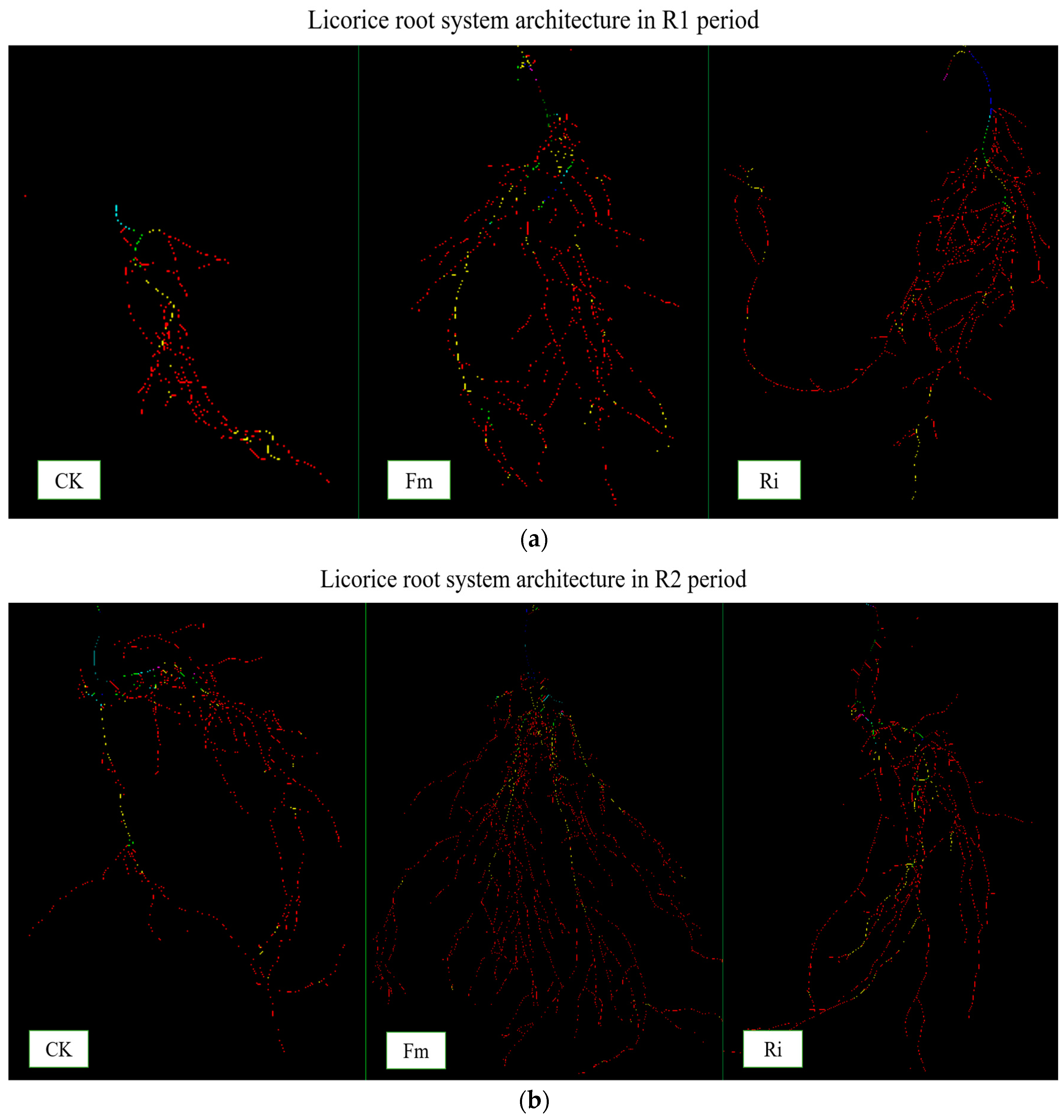 Plants 13 02652 g002