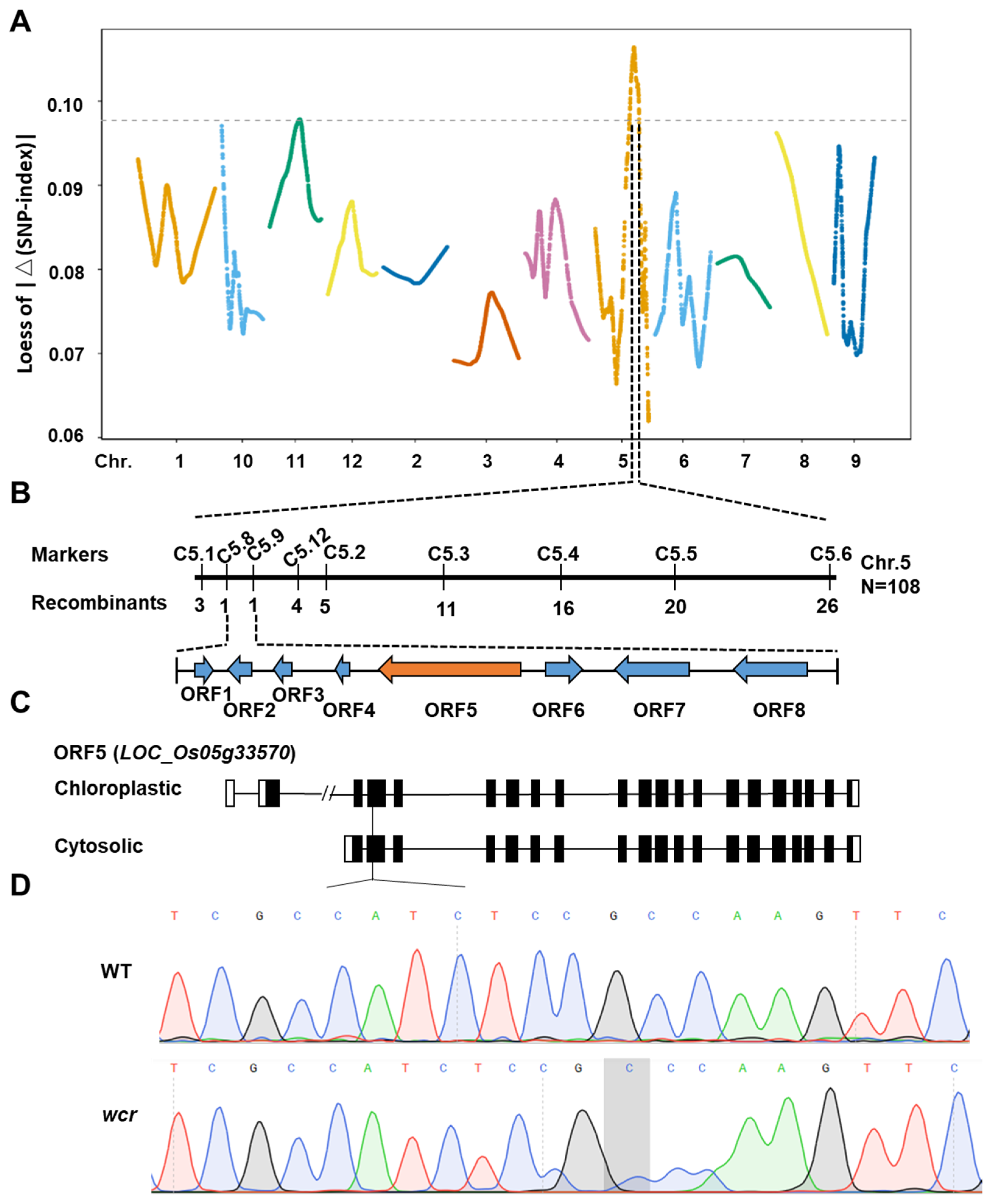 Plants 13 02653 g004 Plants 13 02653 g004