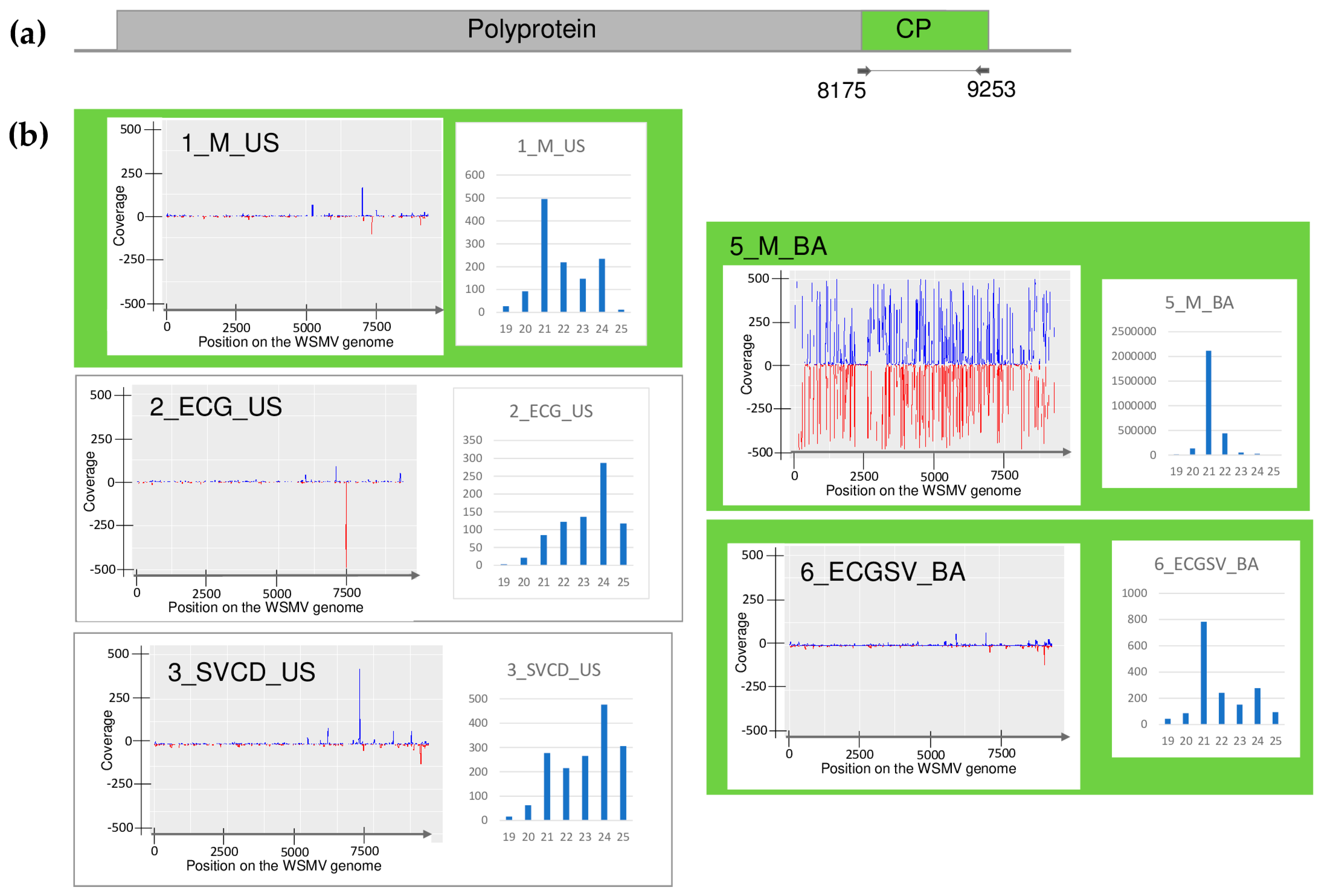 Plants 13 02664 g001