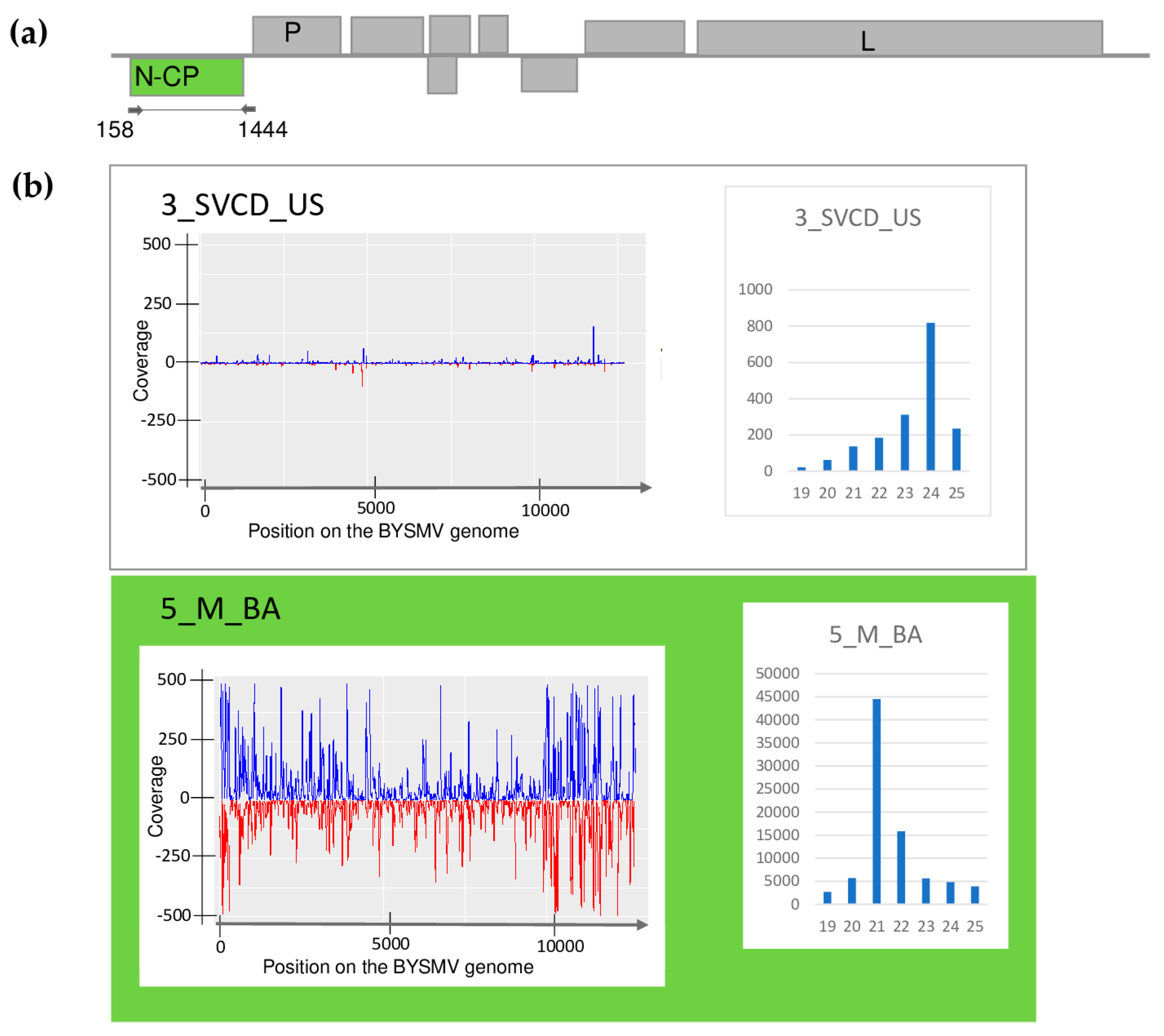 Plants 13 02664 g002