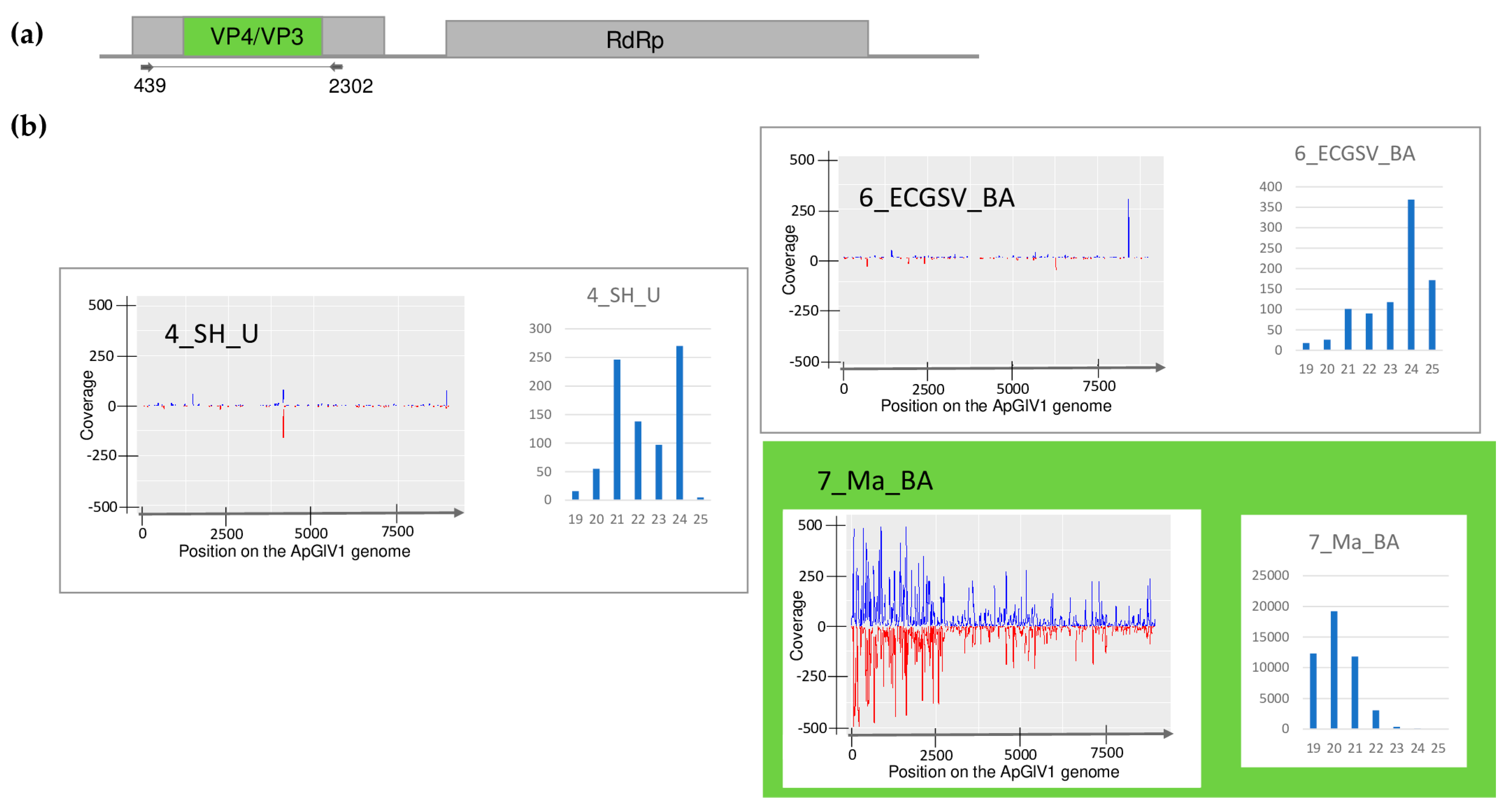 Plants 13 02664 g004