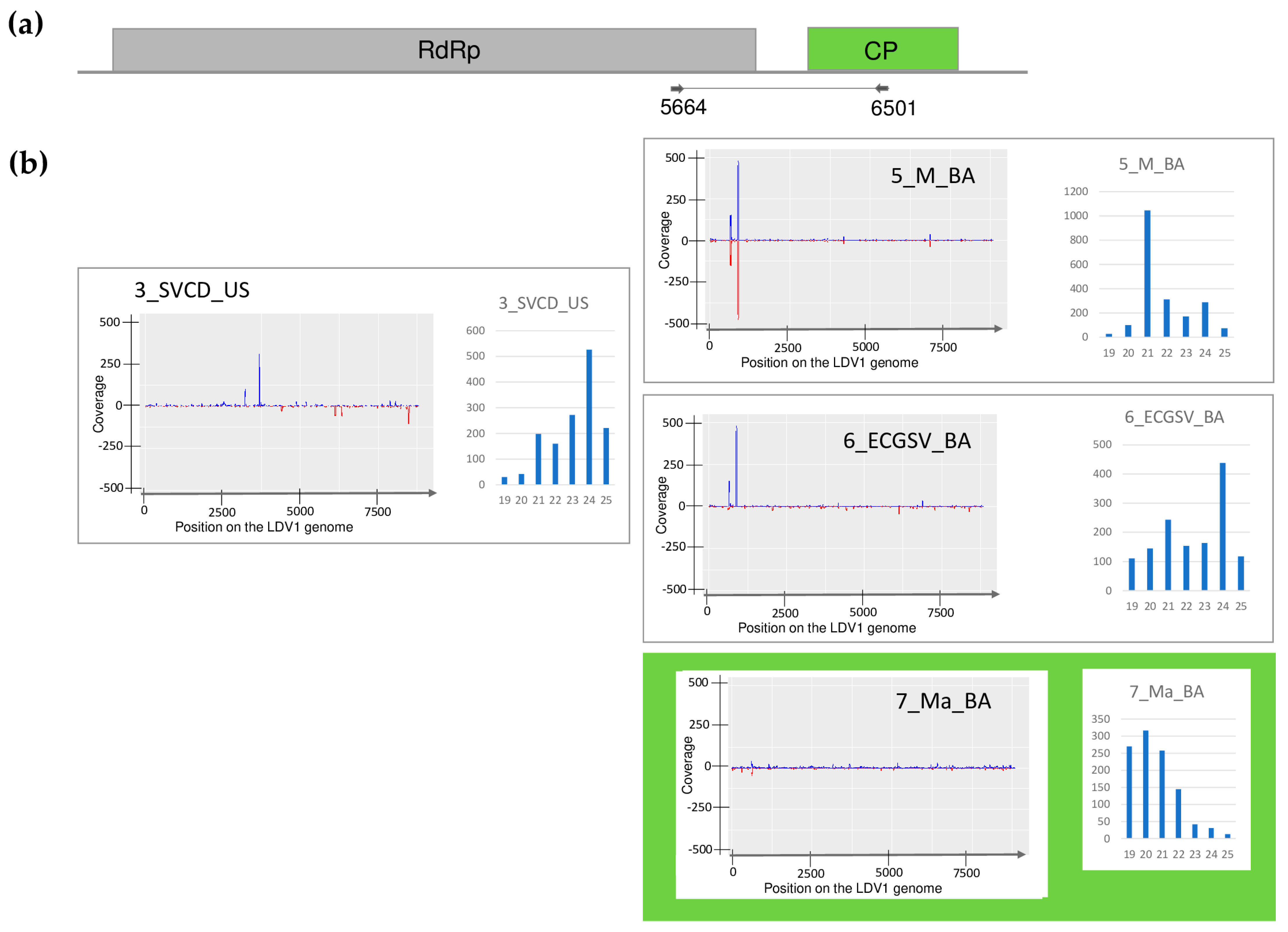Plants 13 02664 g005