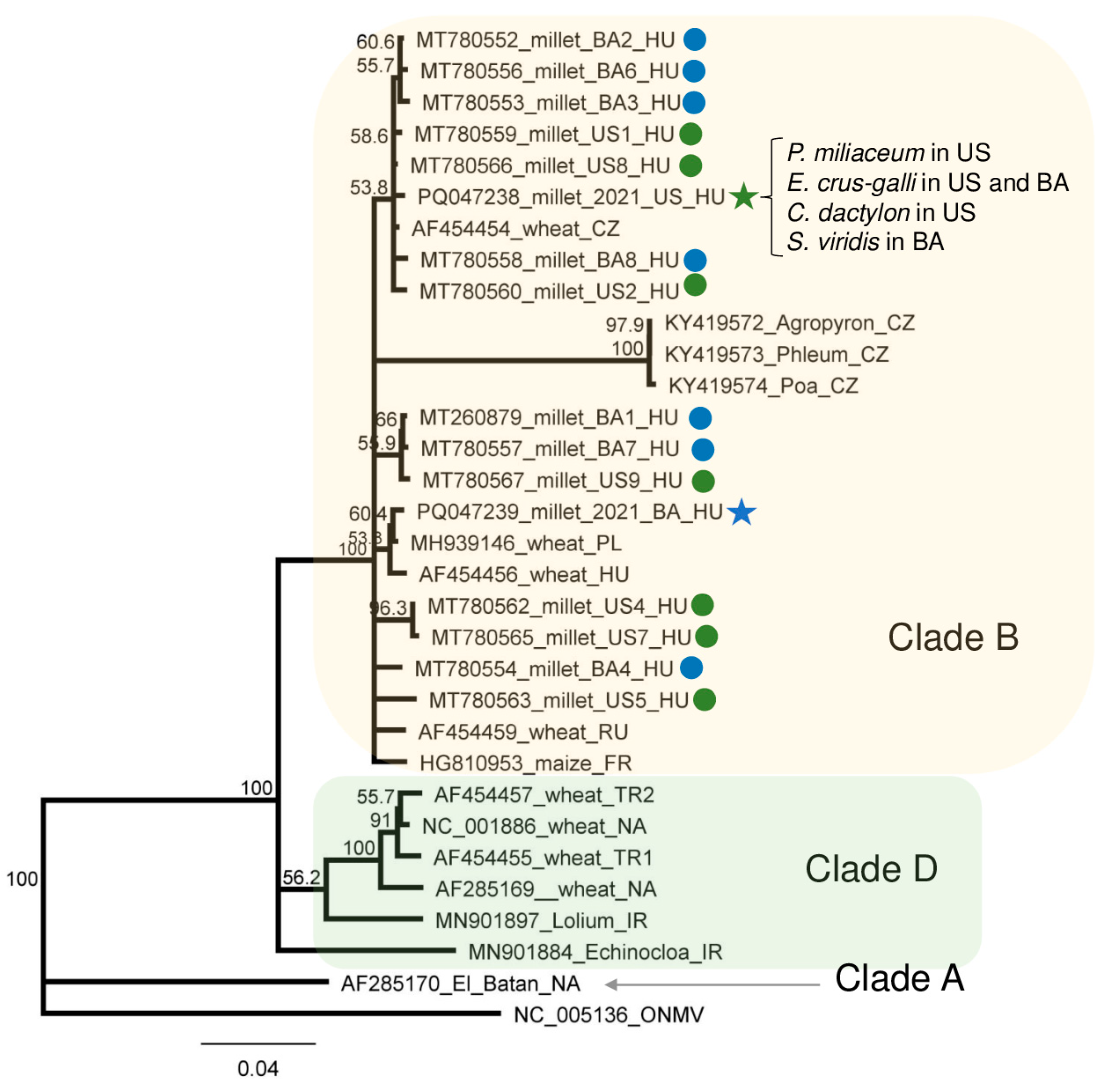 Plants 13 02664 g008