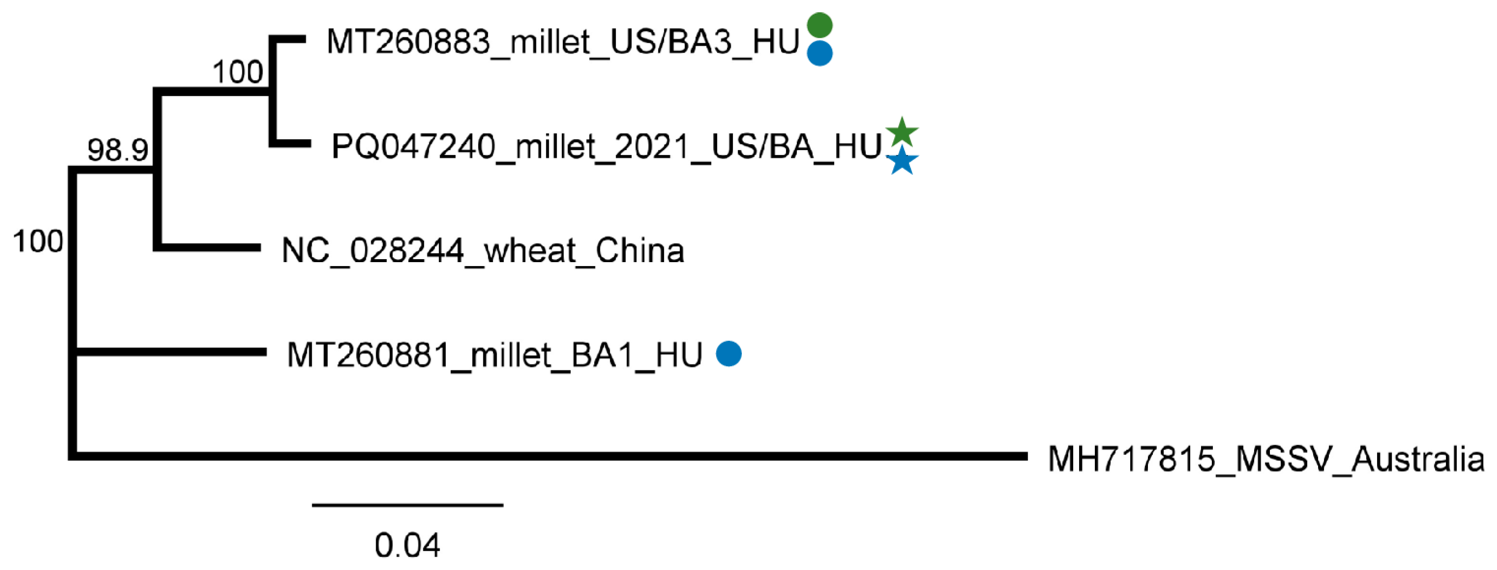 Plants 13 02664 g010