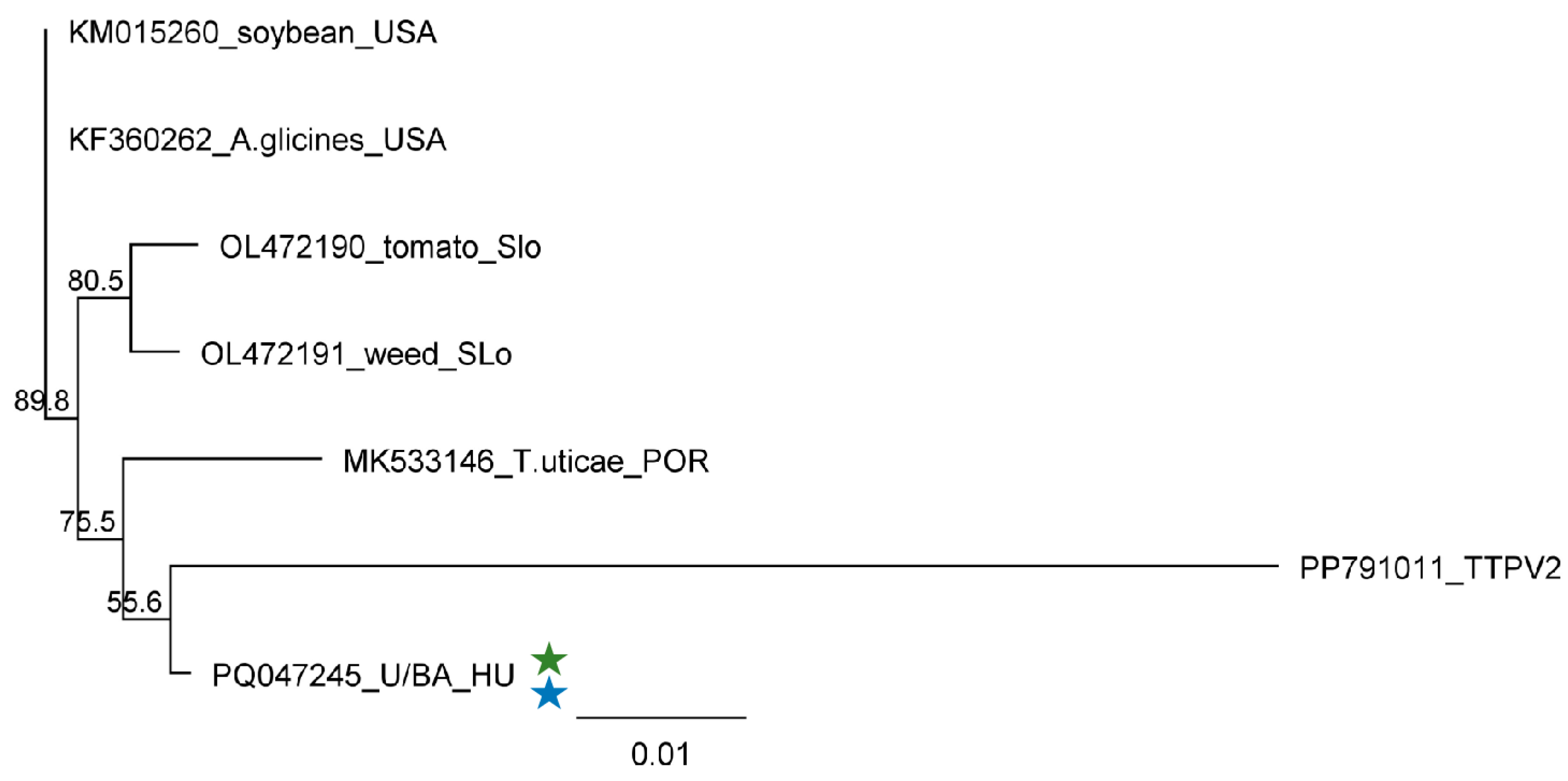 Plants 13 02664 g014