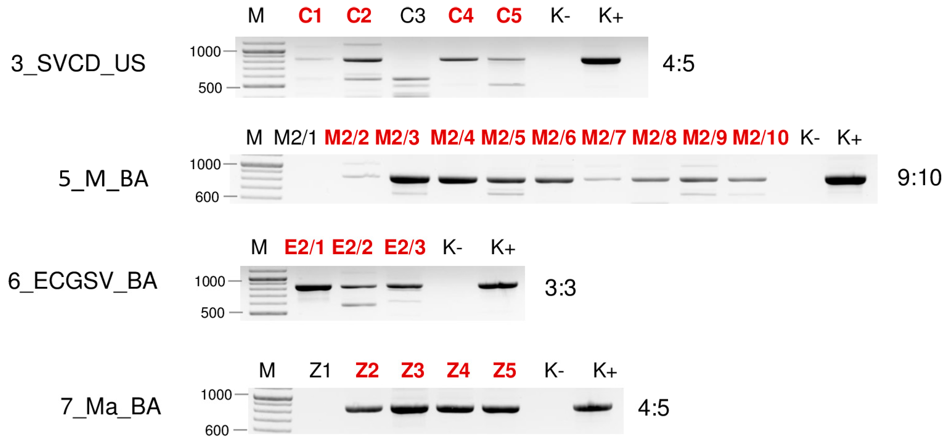 Plants 13 02664 g015