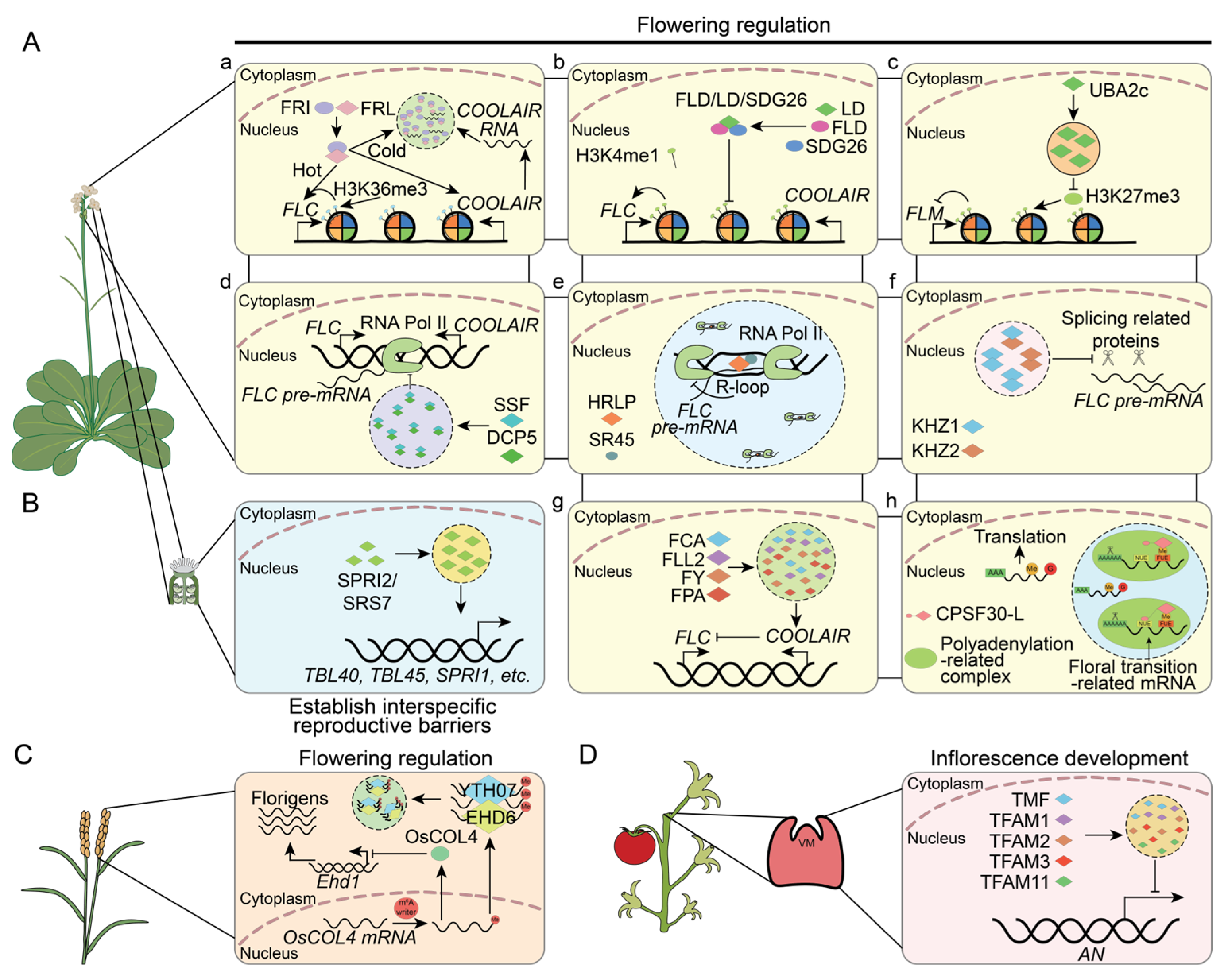 Plants 13 02666 g003