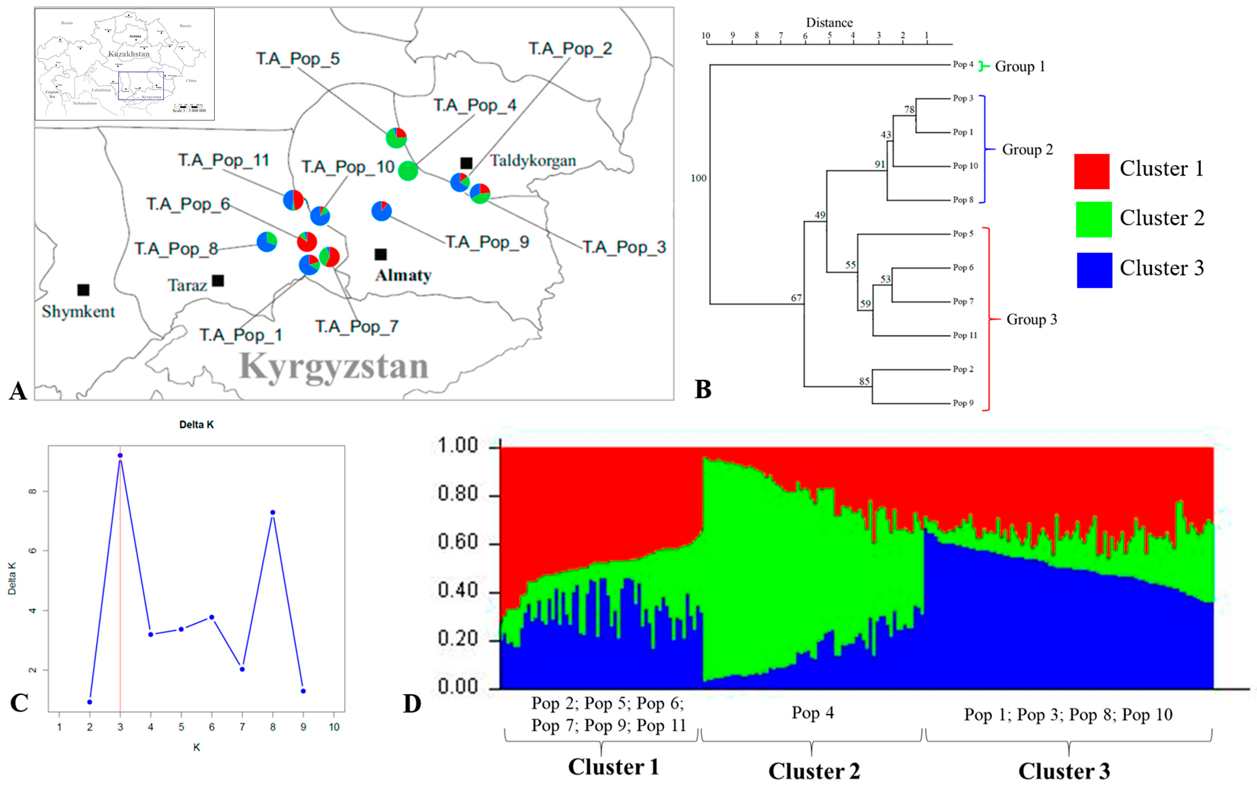 Plants 13 02667 g003