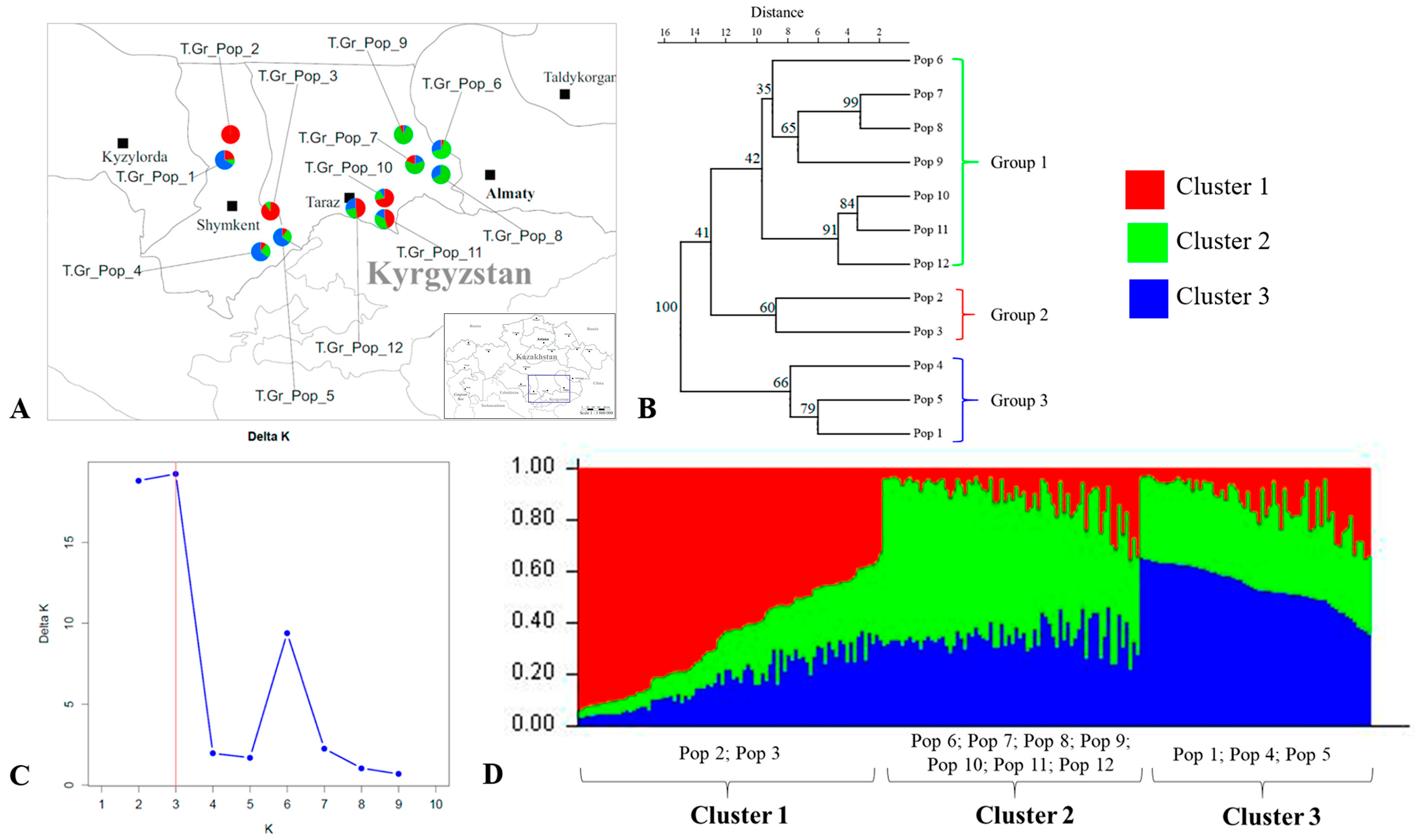 Plants 13 02667 g004