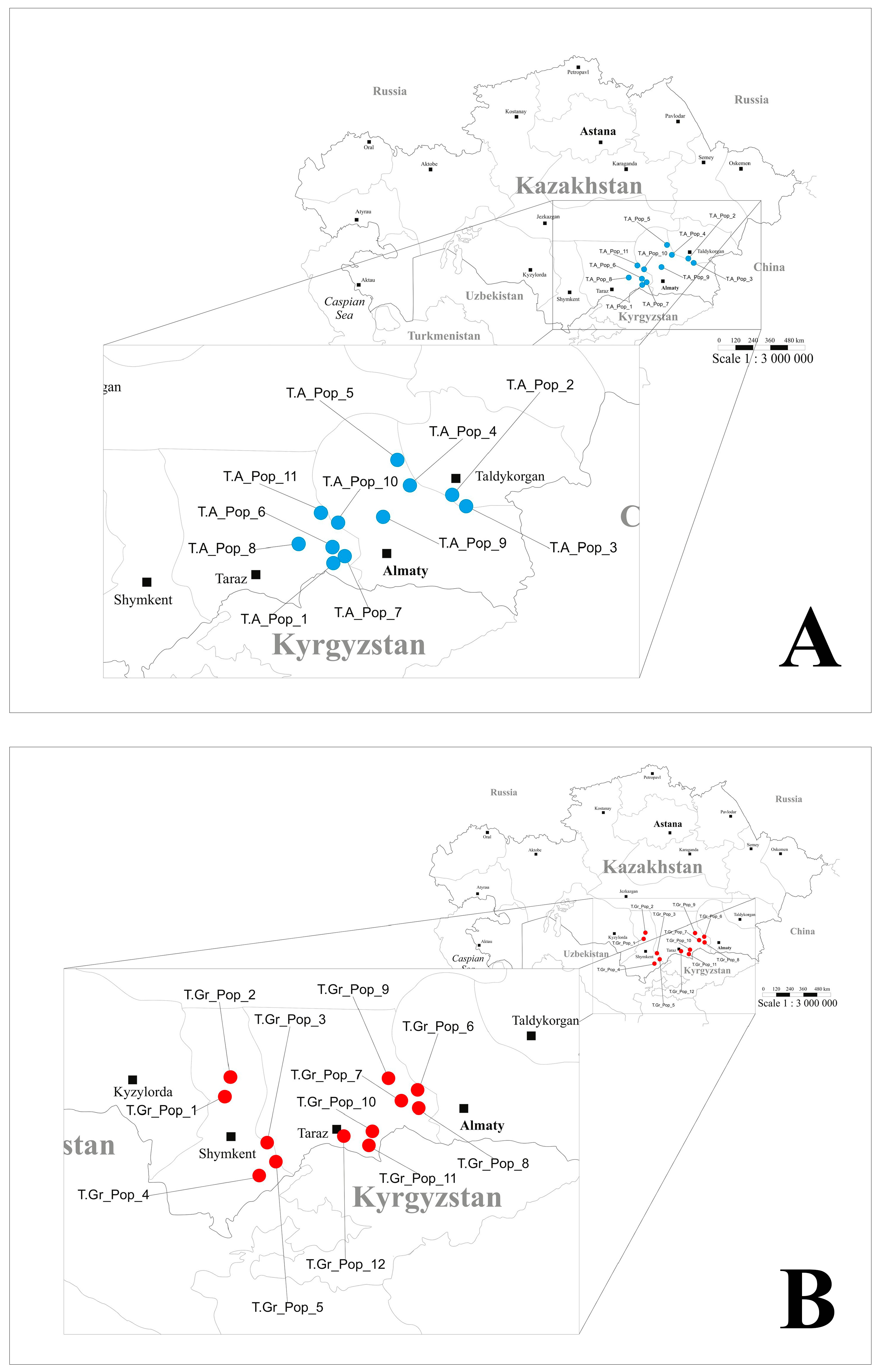 Plants 13 02667 g006