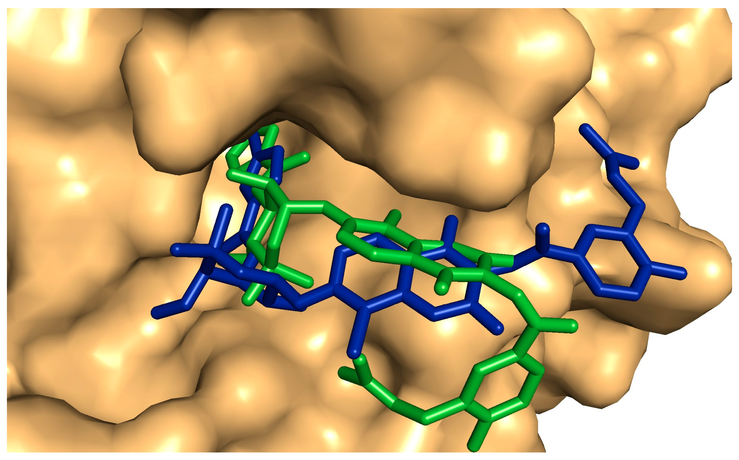 Plants 13 02669 g012