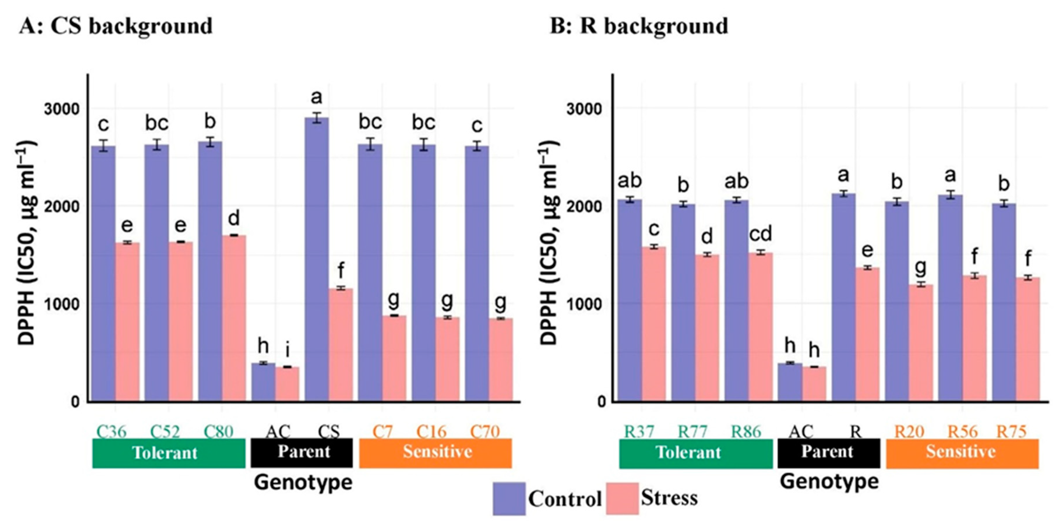 Plants 13 02673 g003