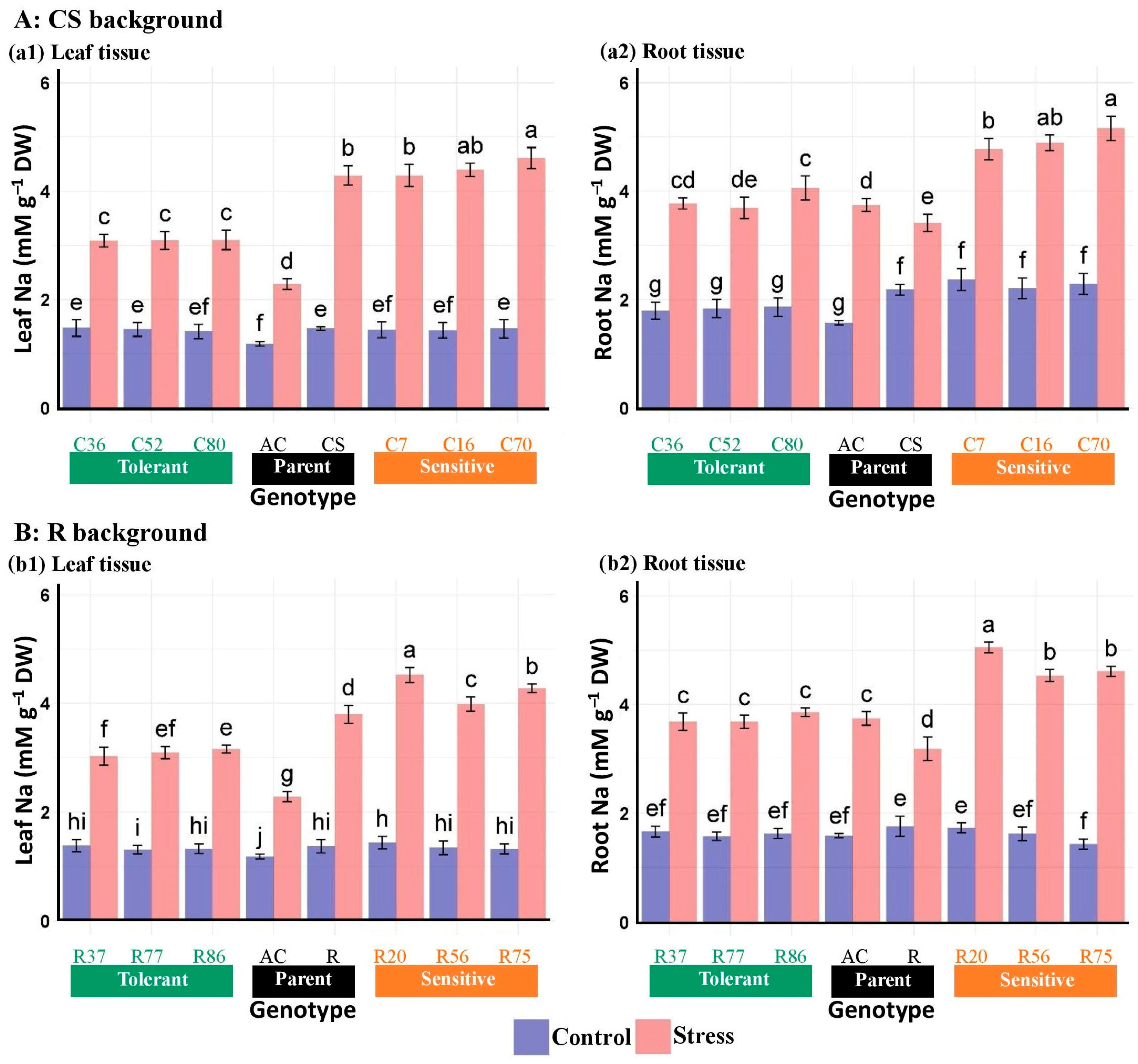 Plants 13 02673 g004