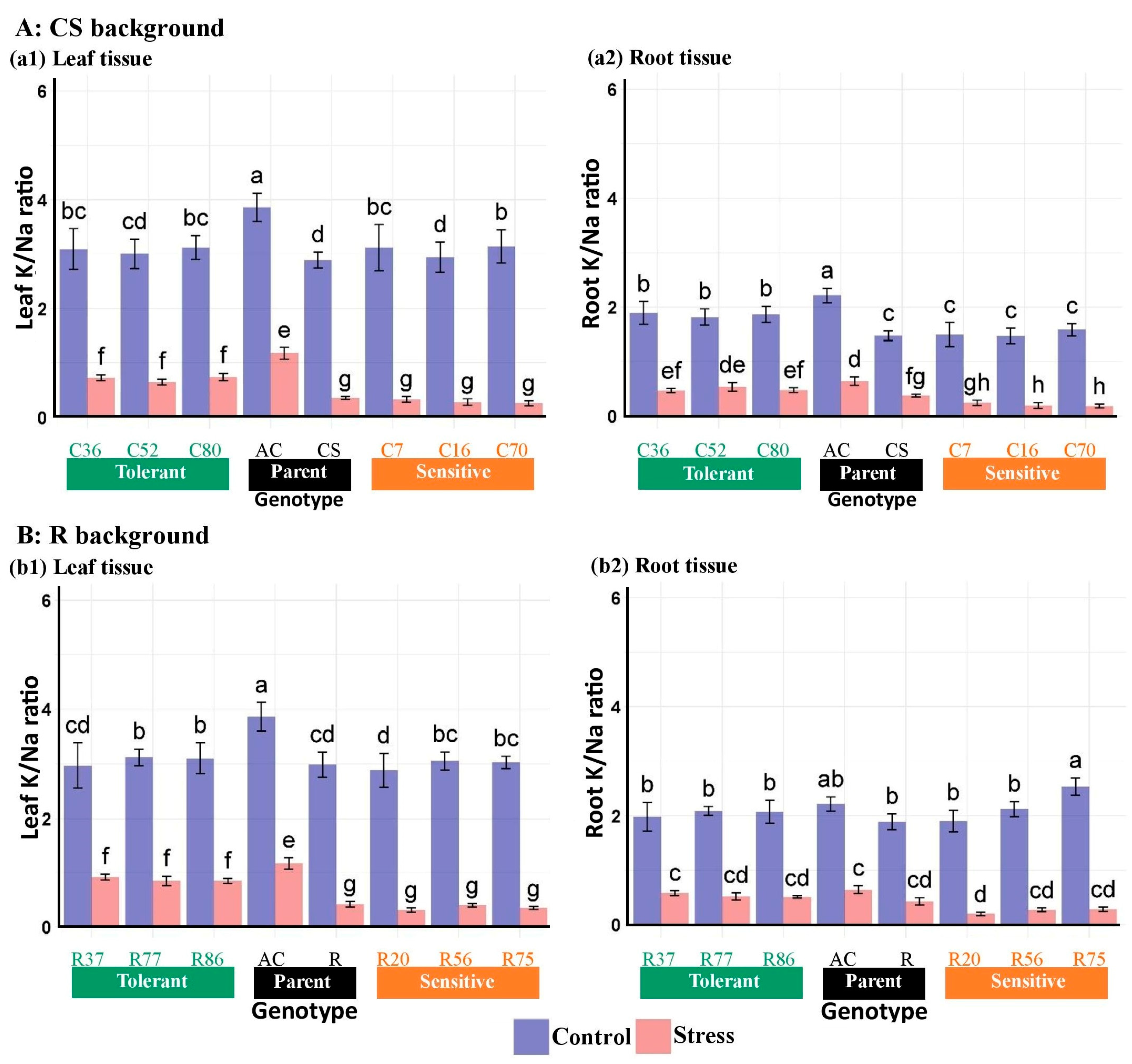 Plants 13 02673 g006