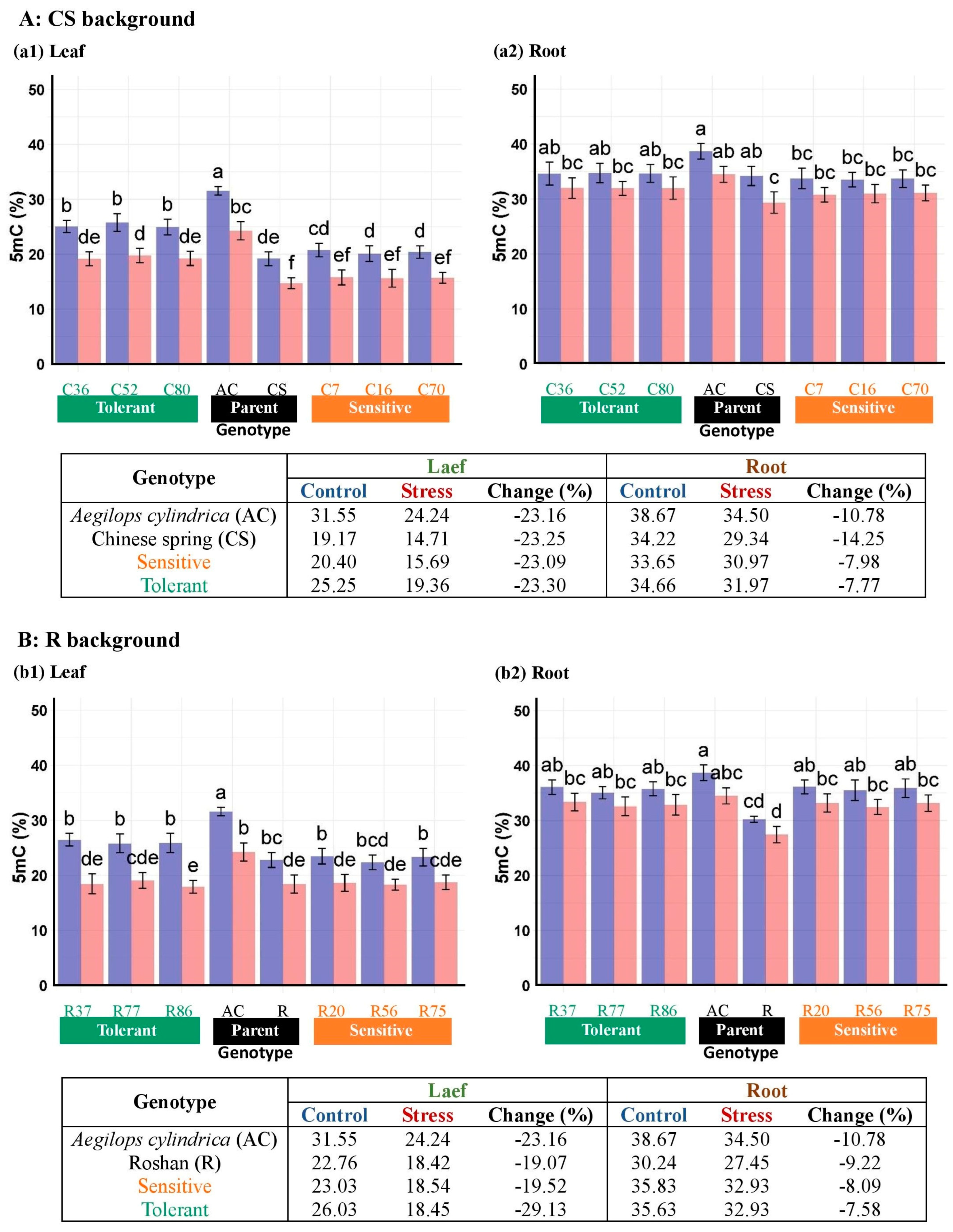 Plants 13 02673 g008